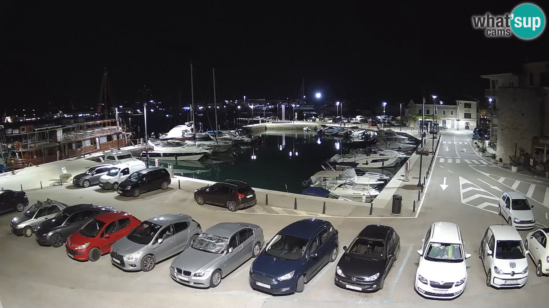 Novigrad | Porporela marina