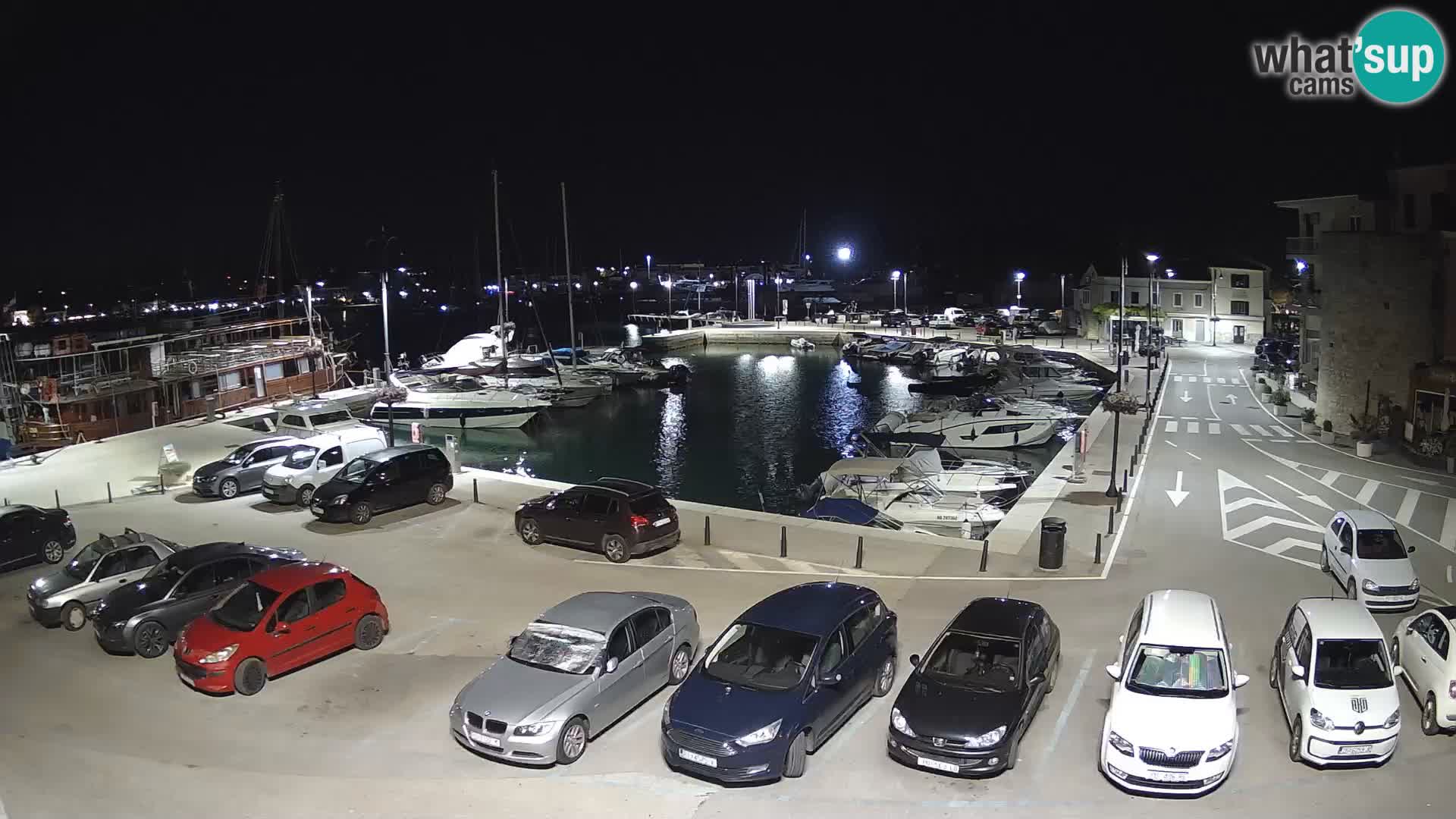 Novigrad | Porporela marina