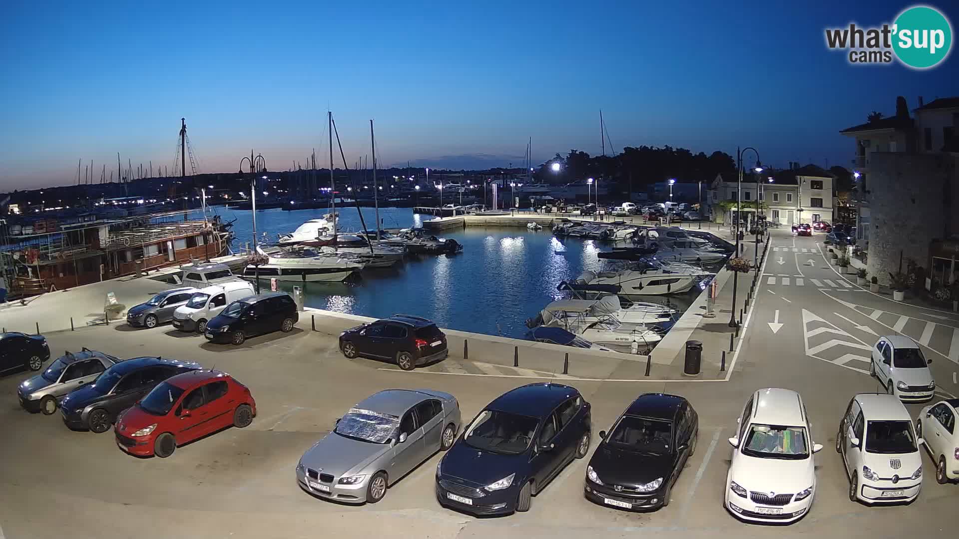 Novigrad | Porporela marina