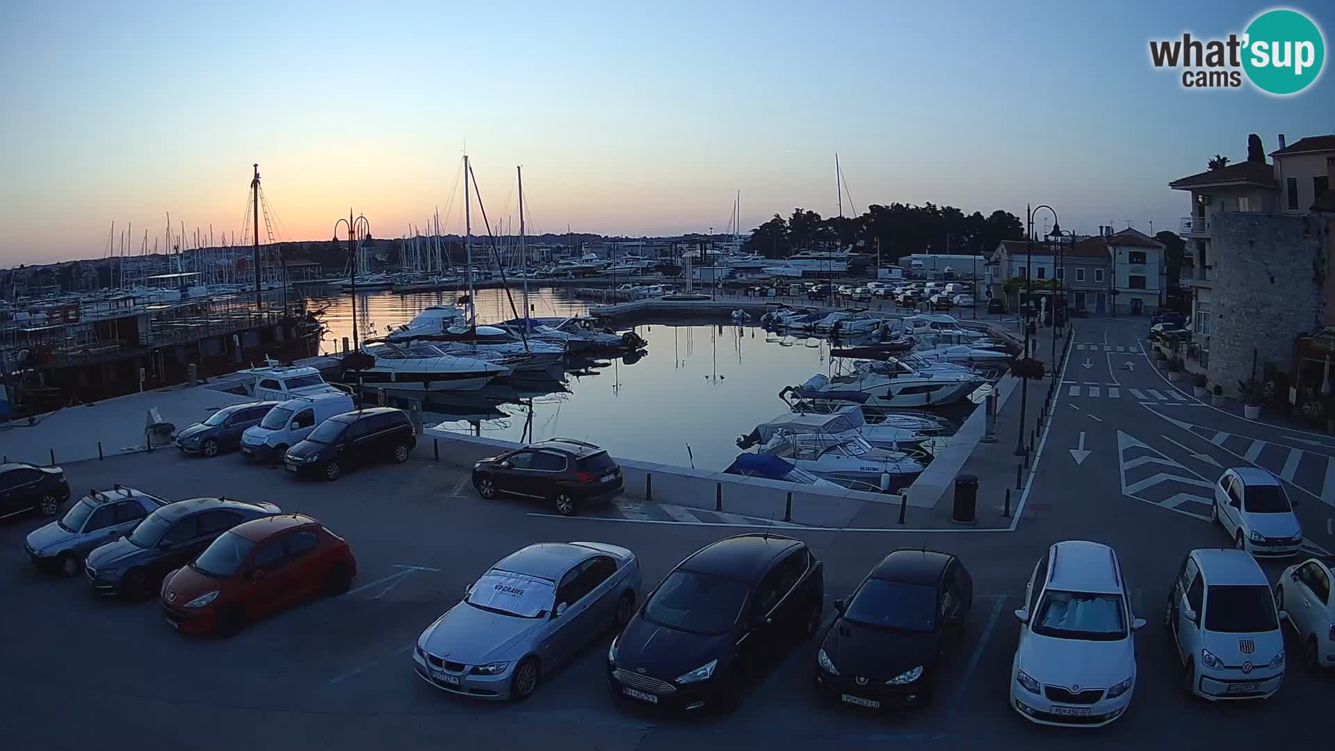 Novigrad | Porporela marina