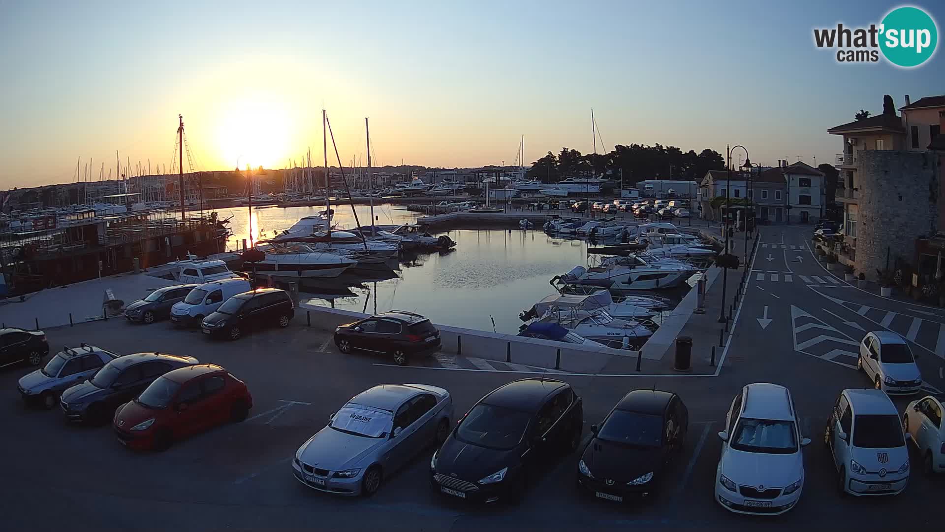 Novigrad | Porporela marina