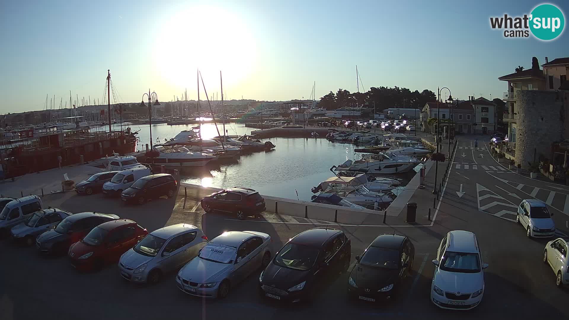 Novigrad | Porporela marina