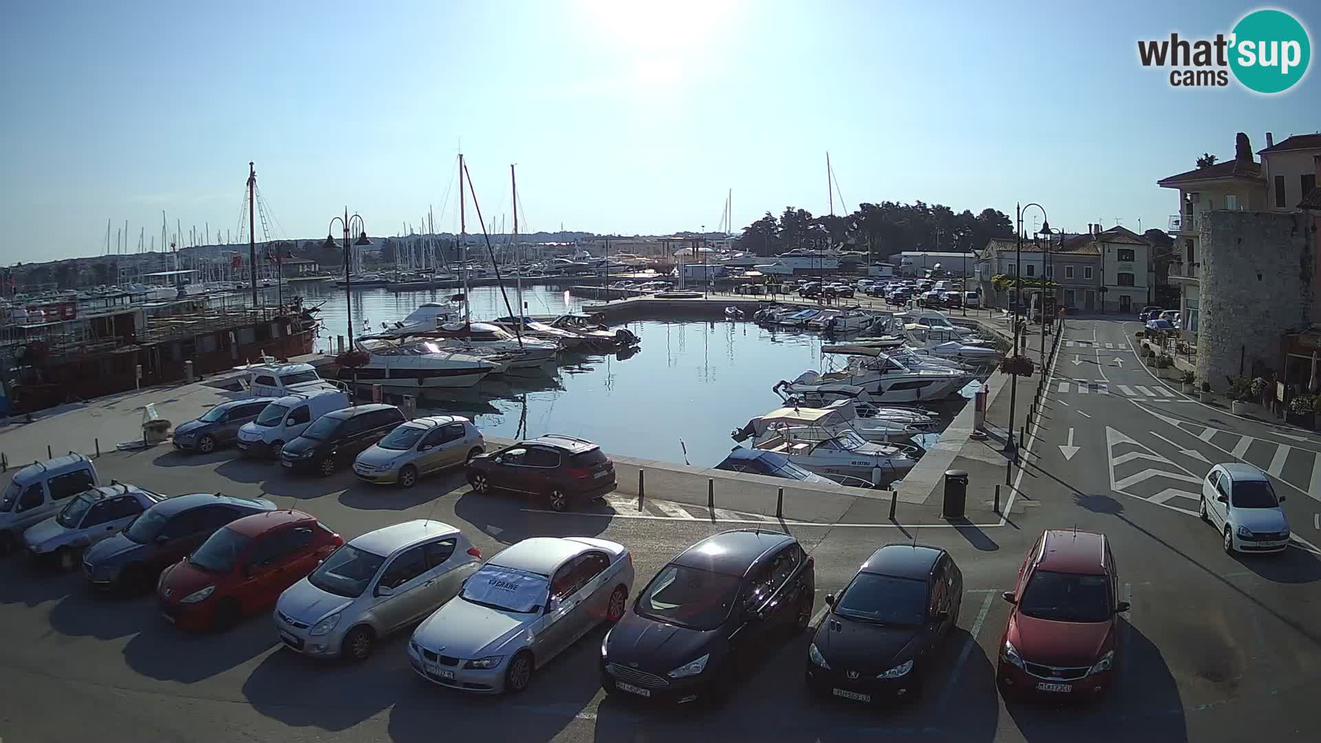 Novigrad | Porporela marina