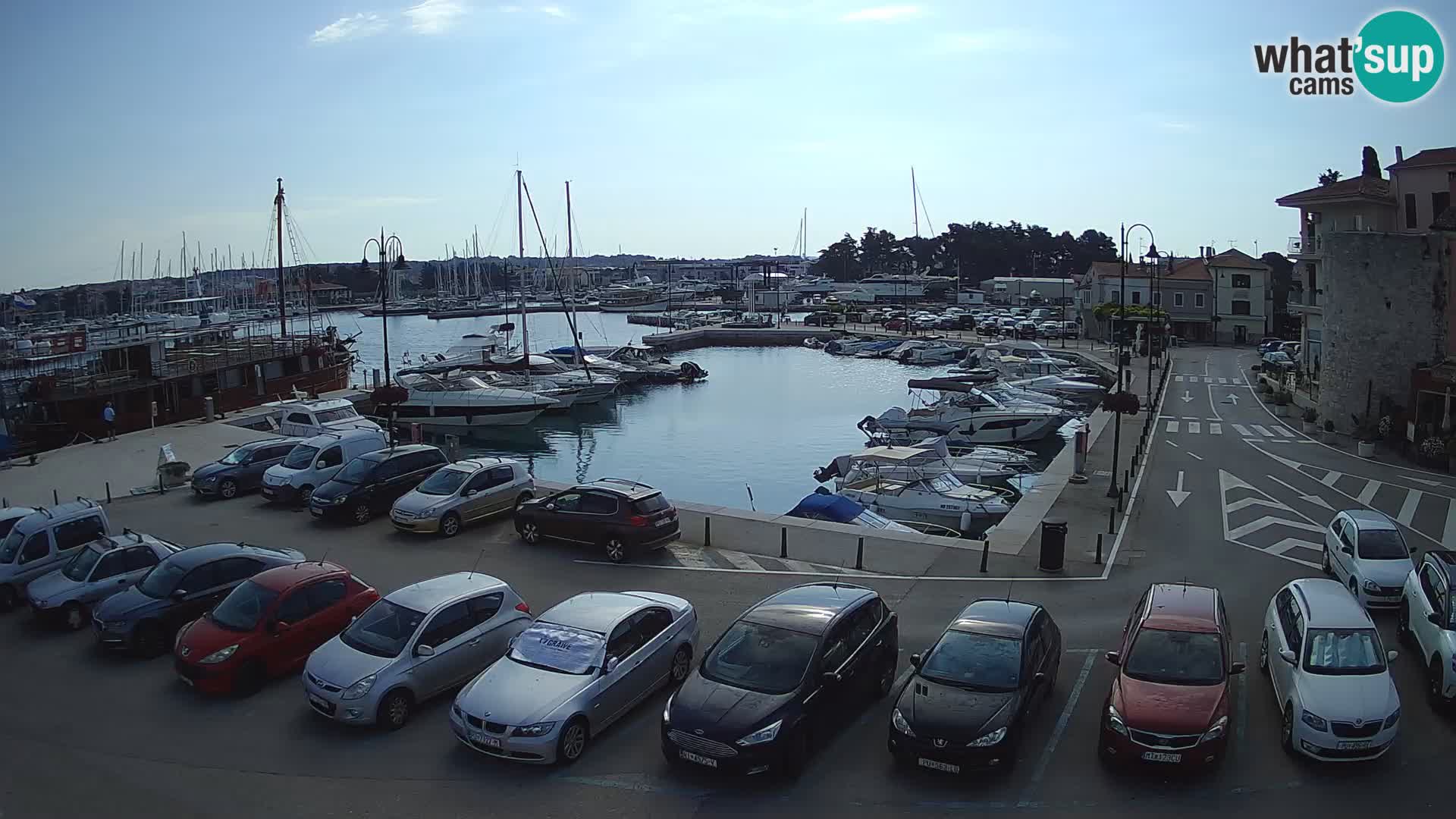 Novigrad | Porporela marina