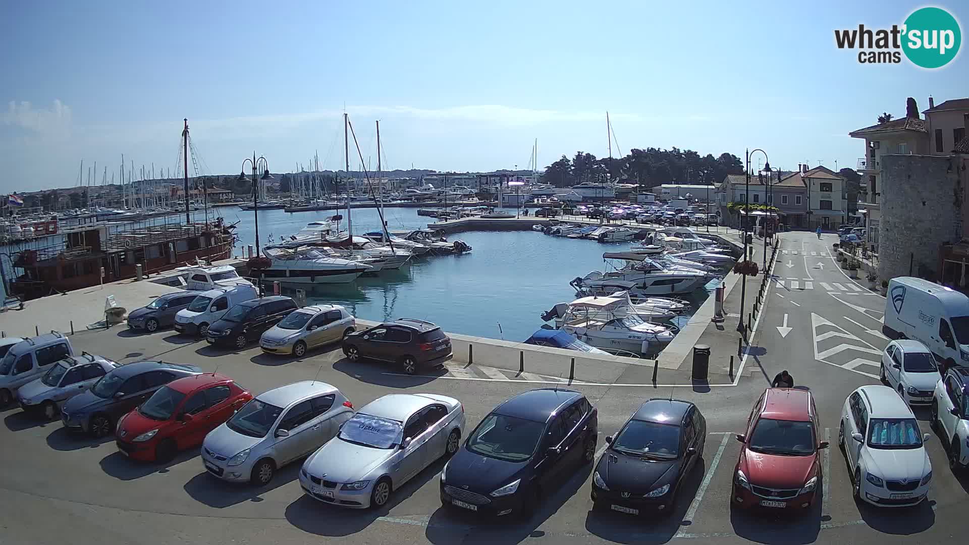 Novigrad | Porporela marina