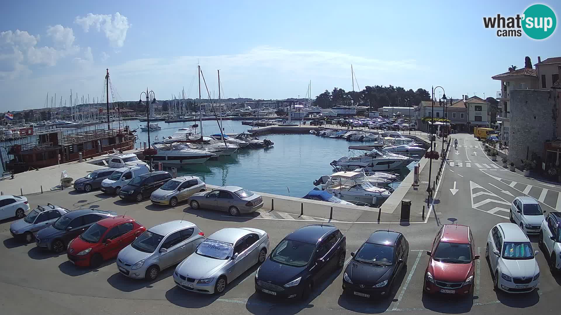 Novigrad | Porporela marina