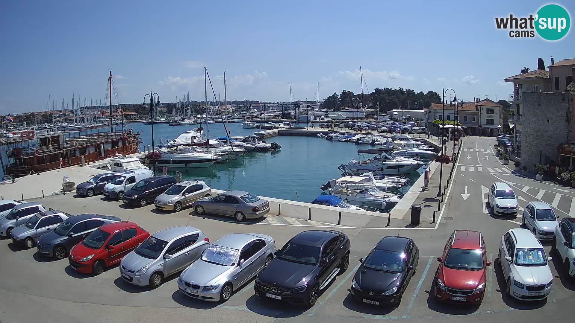 Novigrad | Porporela marina