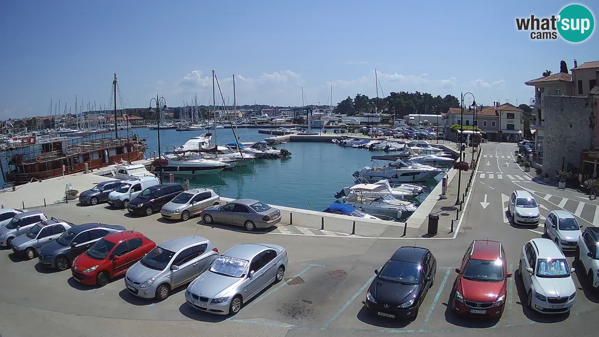 Novigrad | Porporela marina