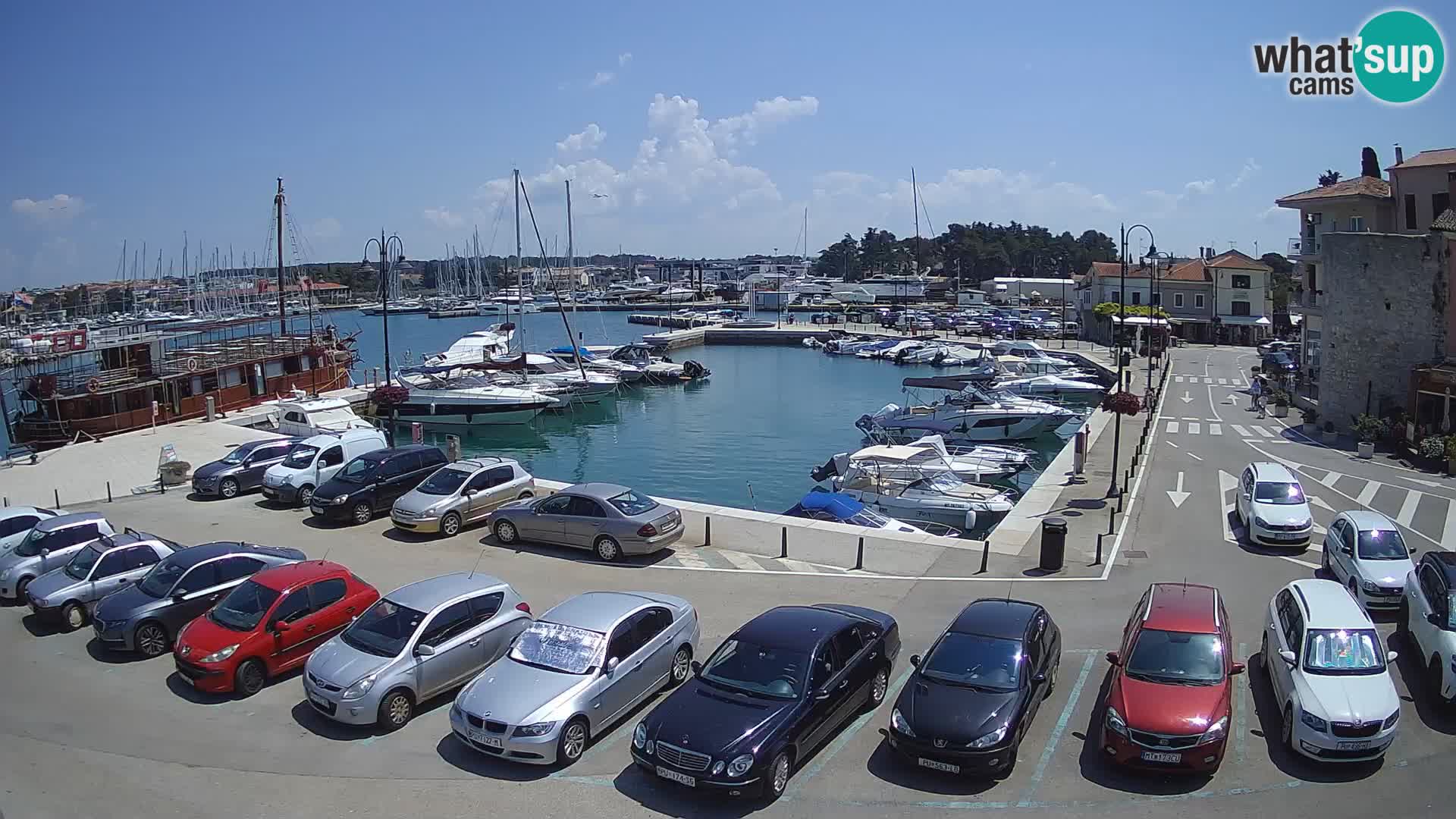 Novigrad | Porporela marina