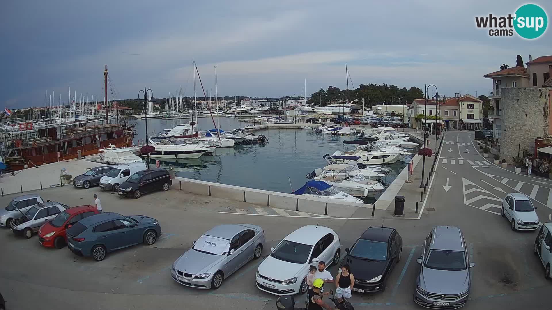 Novigrad | Porporela marina