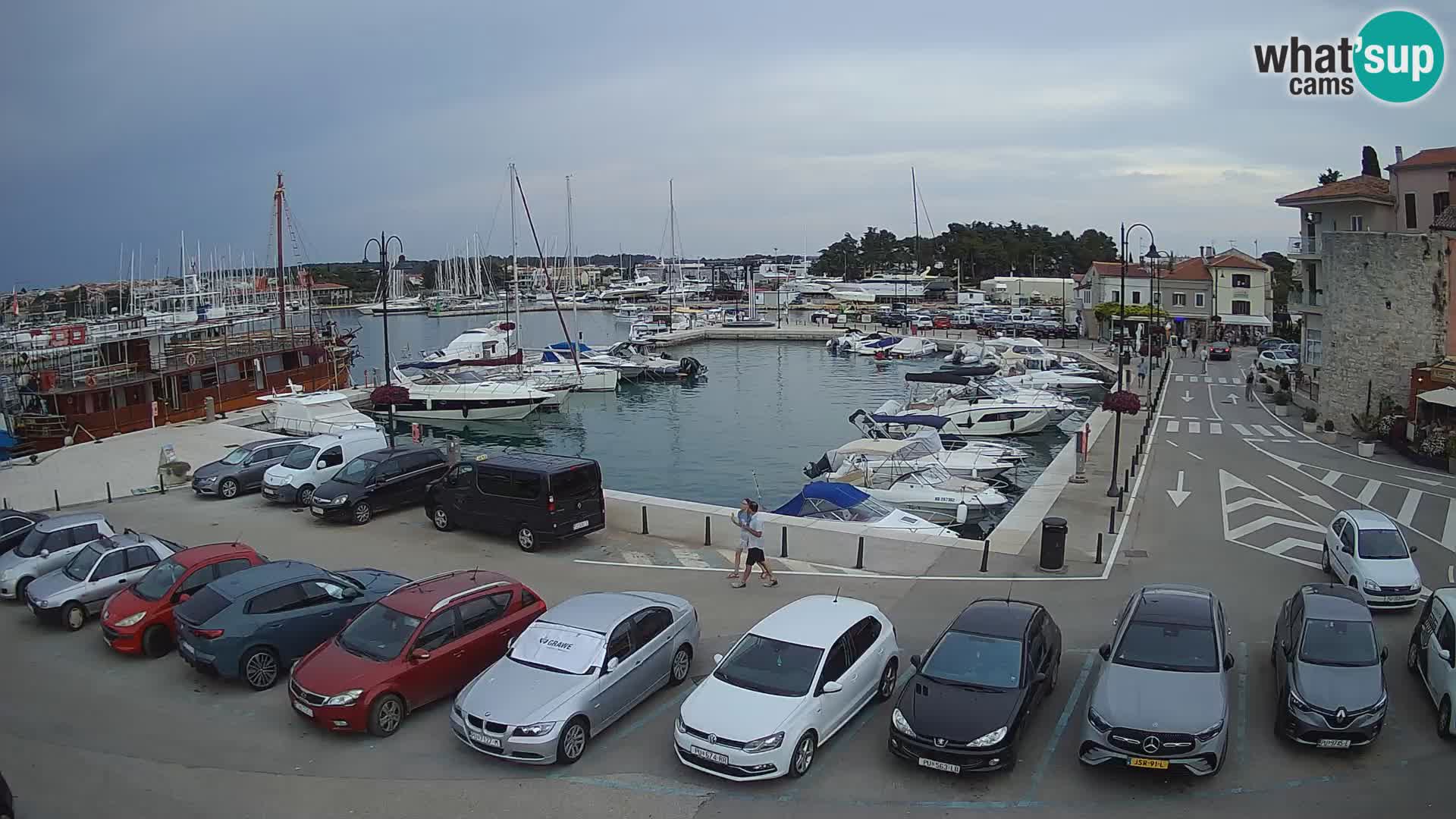 Novigrad | Porporela marina