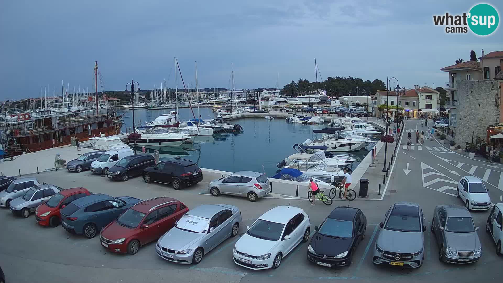 Novigrad | Porporela marina