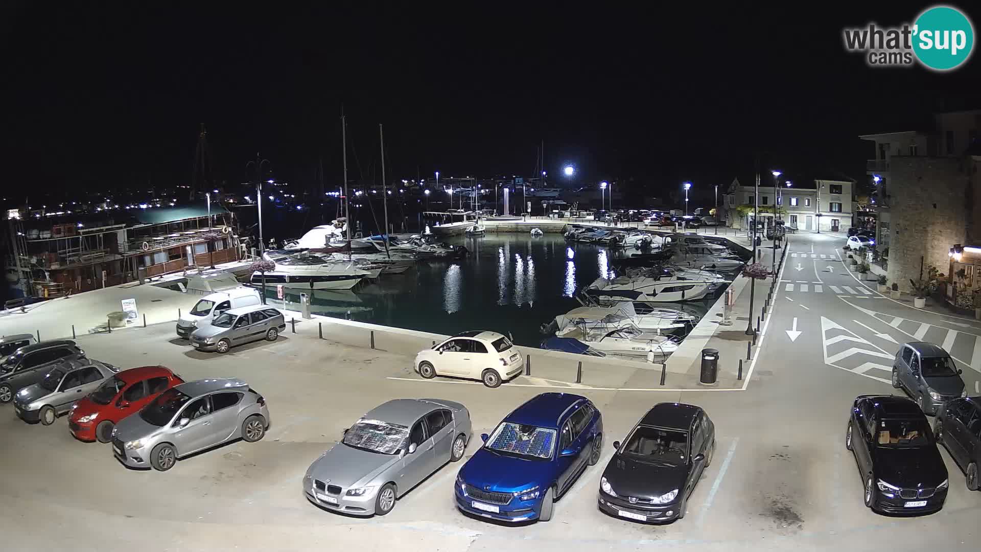 Novigrad | Porporela marina