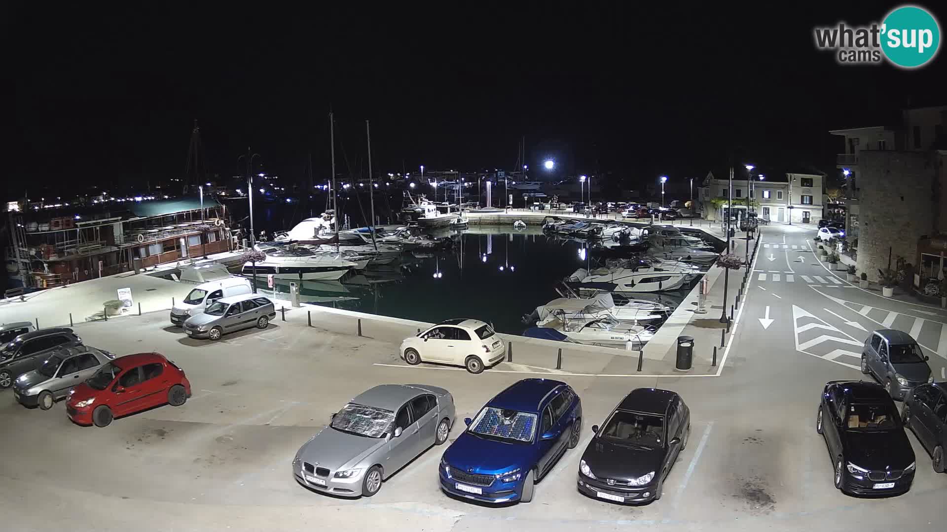 Novigrad | Porporela marina