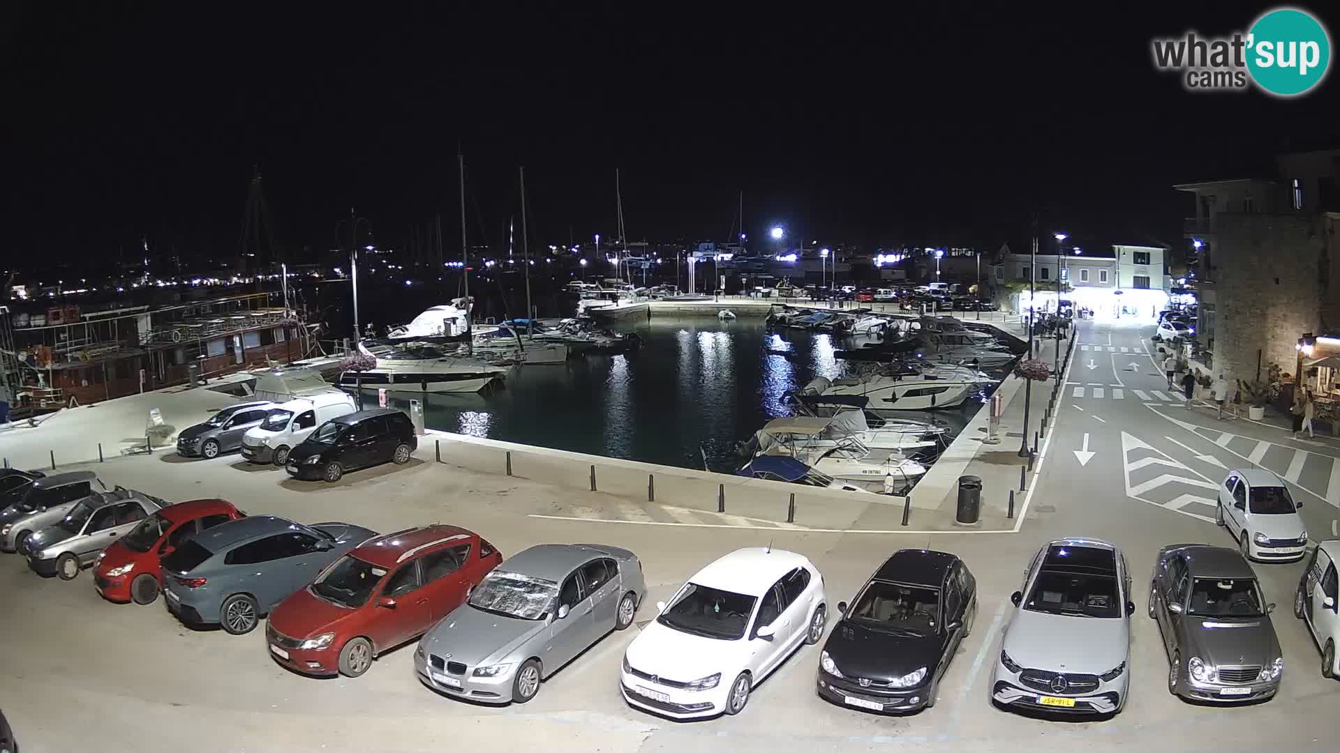 Novigrad | Porporela marina