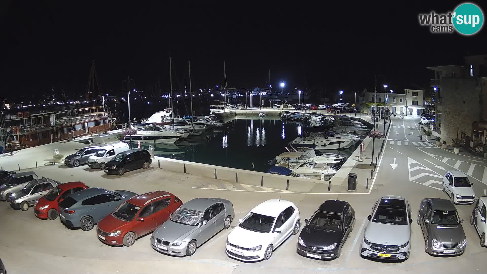 Novigrad | Porporela marina