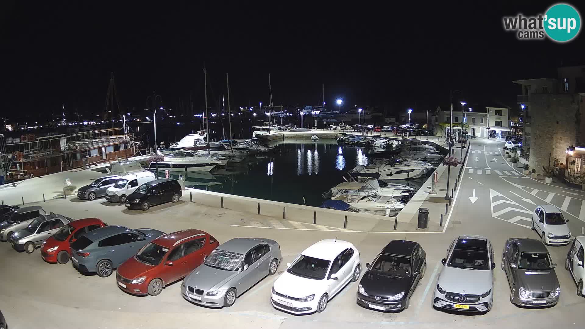 Novigrad | Porporela marina