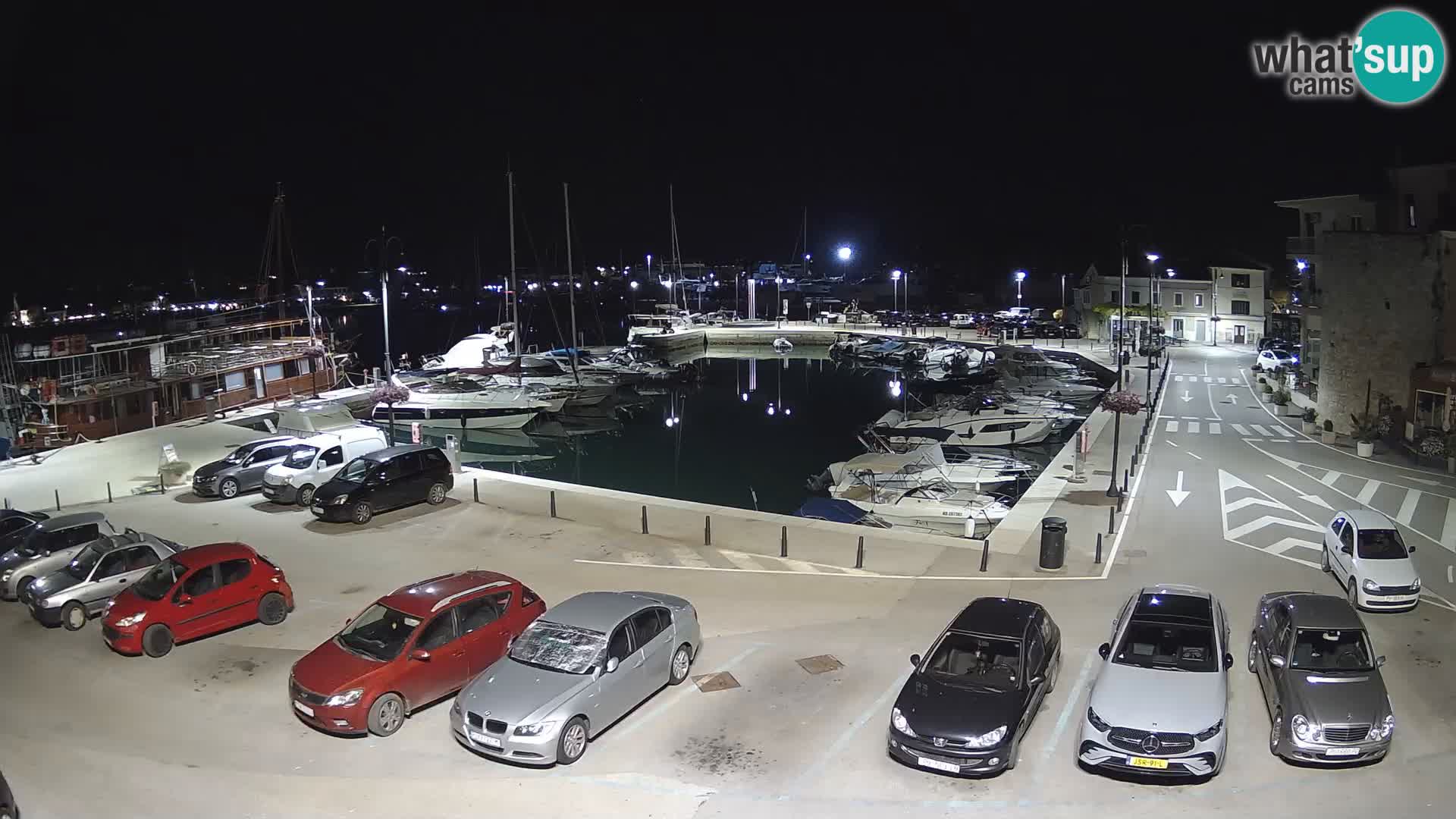 Novigrad | Porporela marina