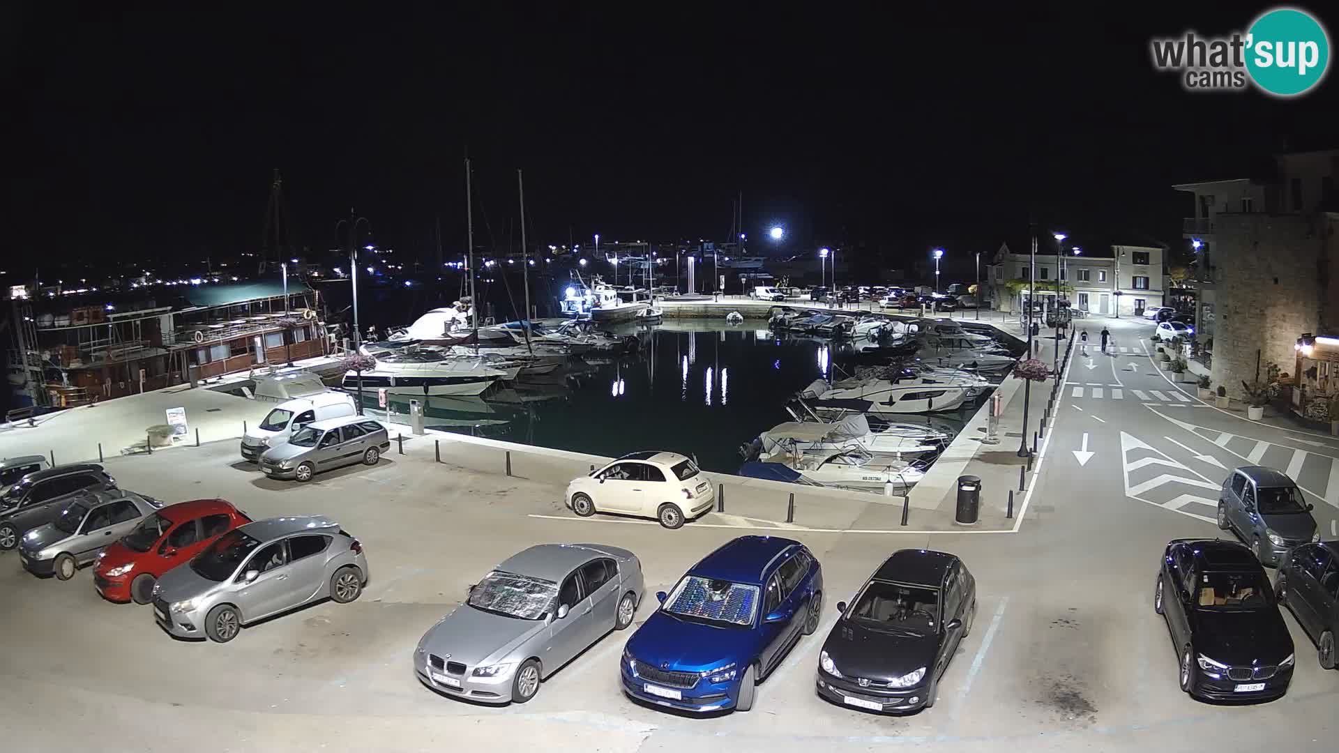 Novigrad | Porporela marina