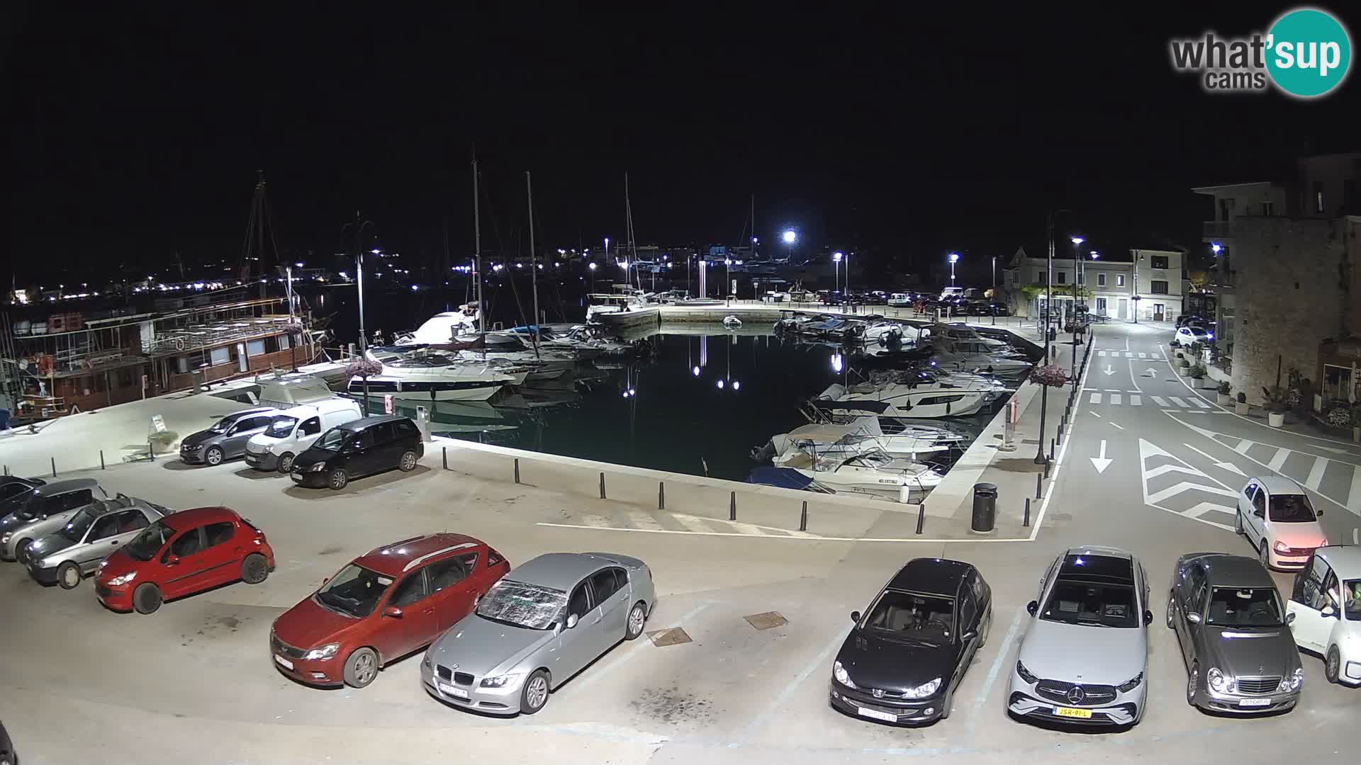 Novigrad | Porporela marina