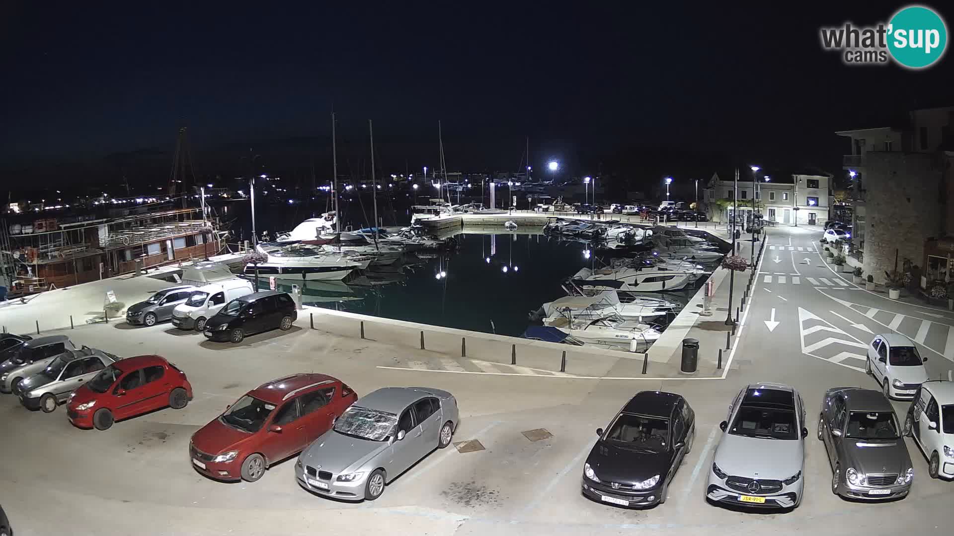 Novigrad | Porporela marina