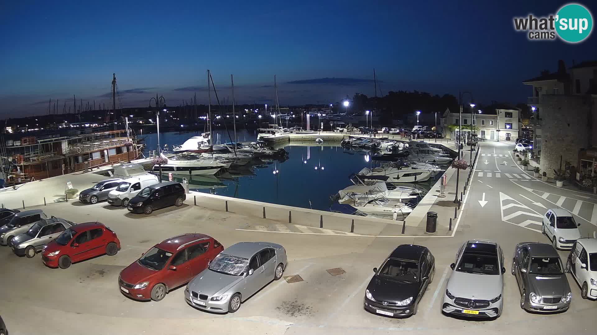 Novigrad | Porporela marina