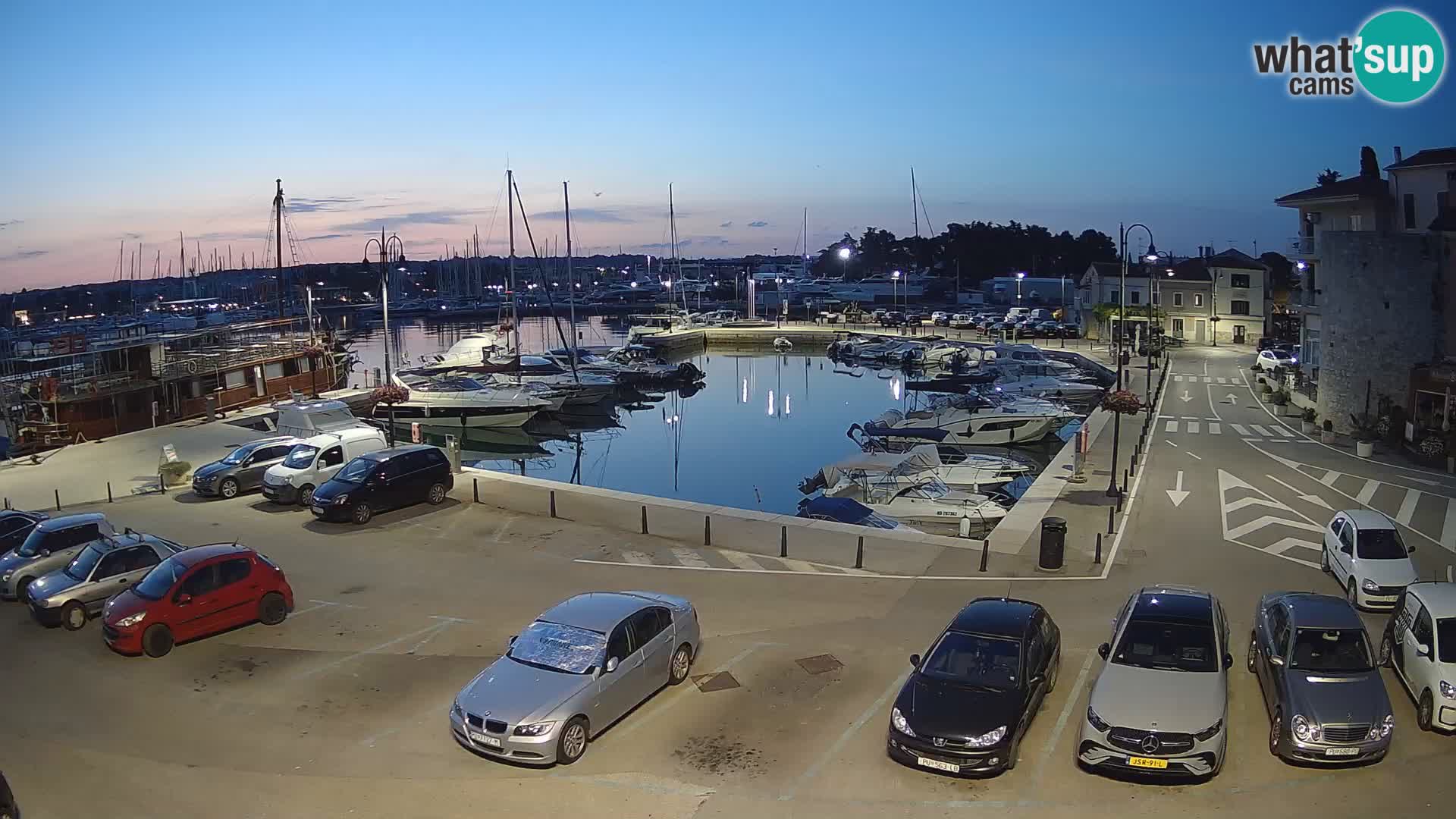 Novigrad | Porporela marina