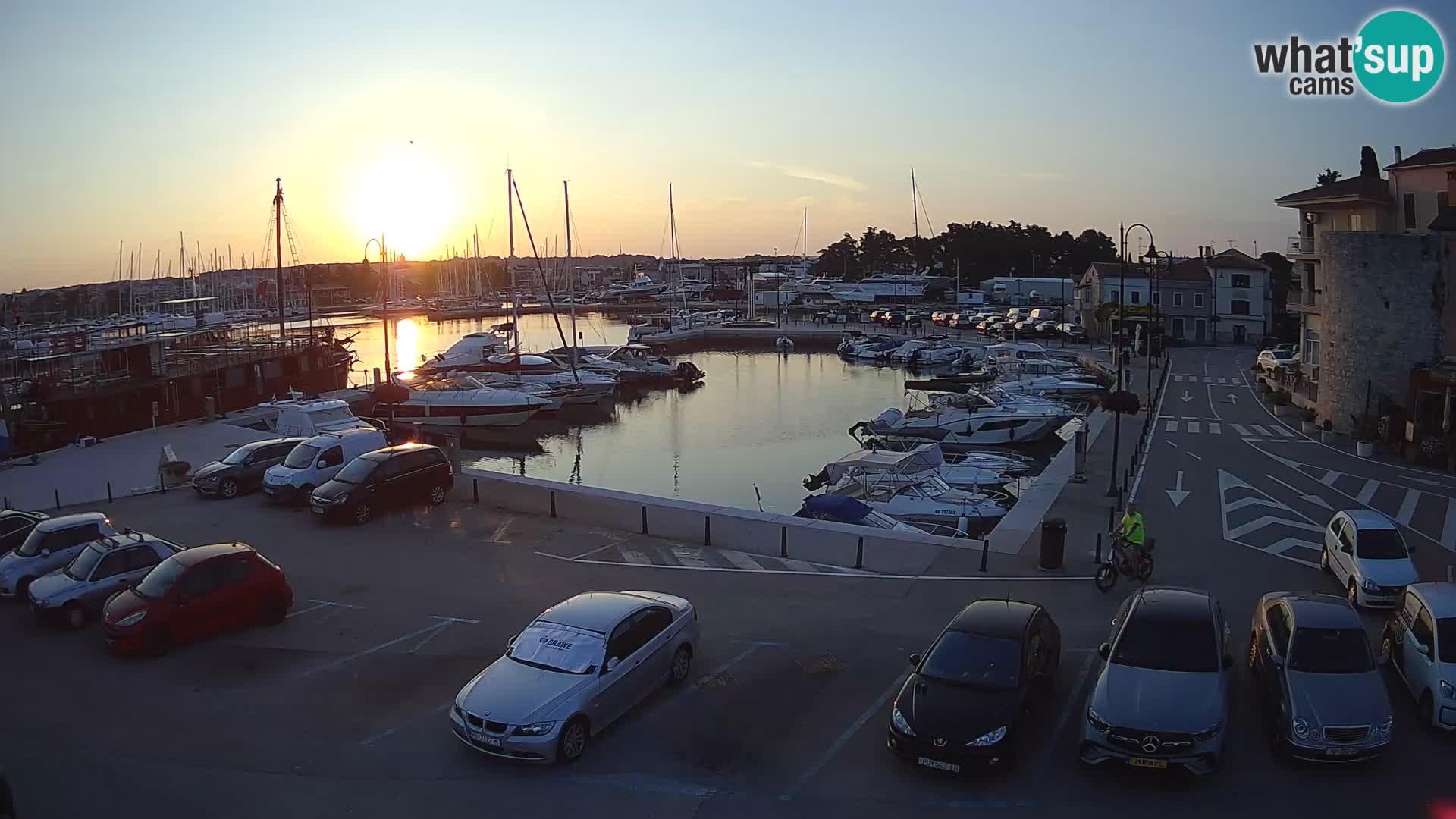 Novigrad | Porporela marina
