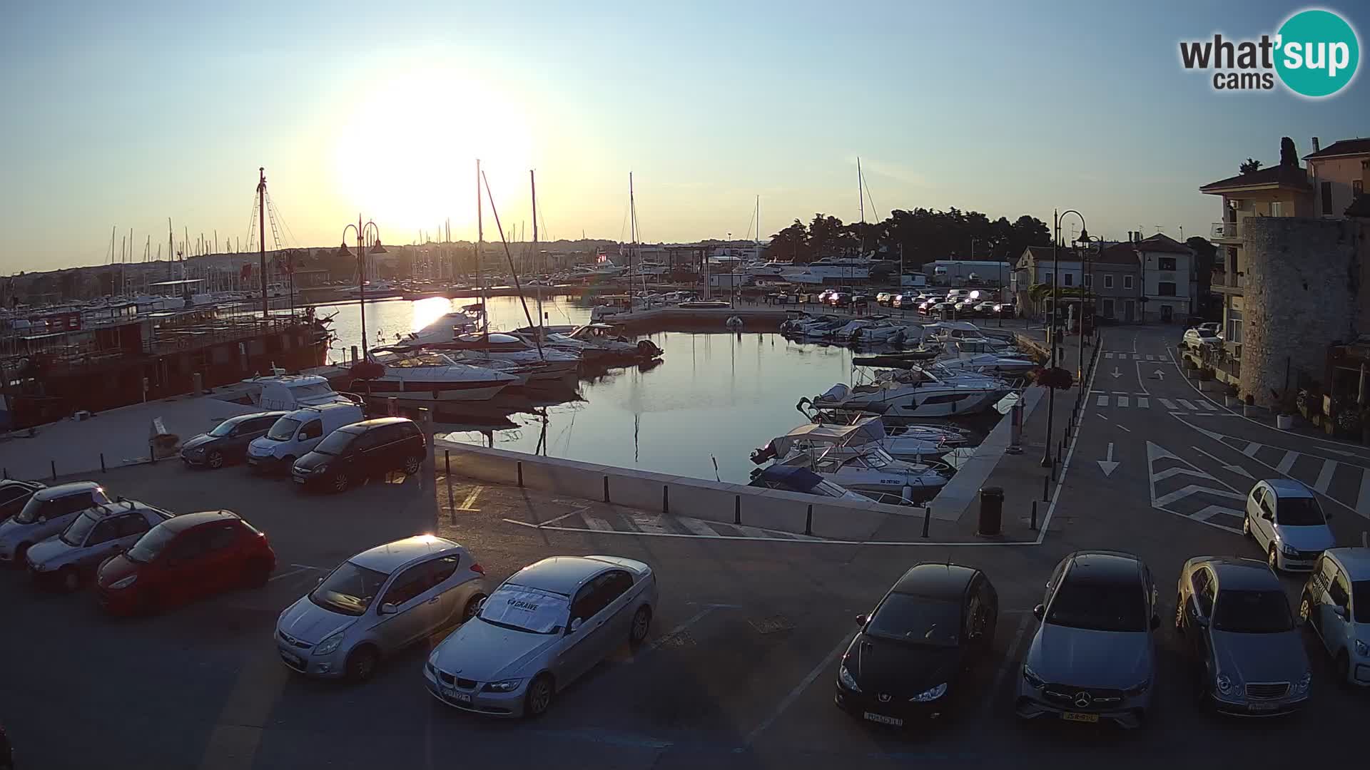 Novigrad | Porporela marina