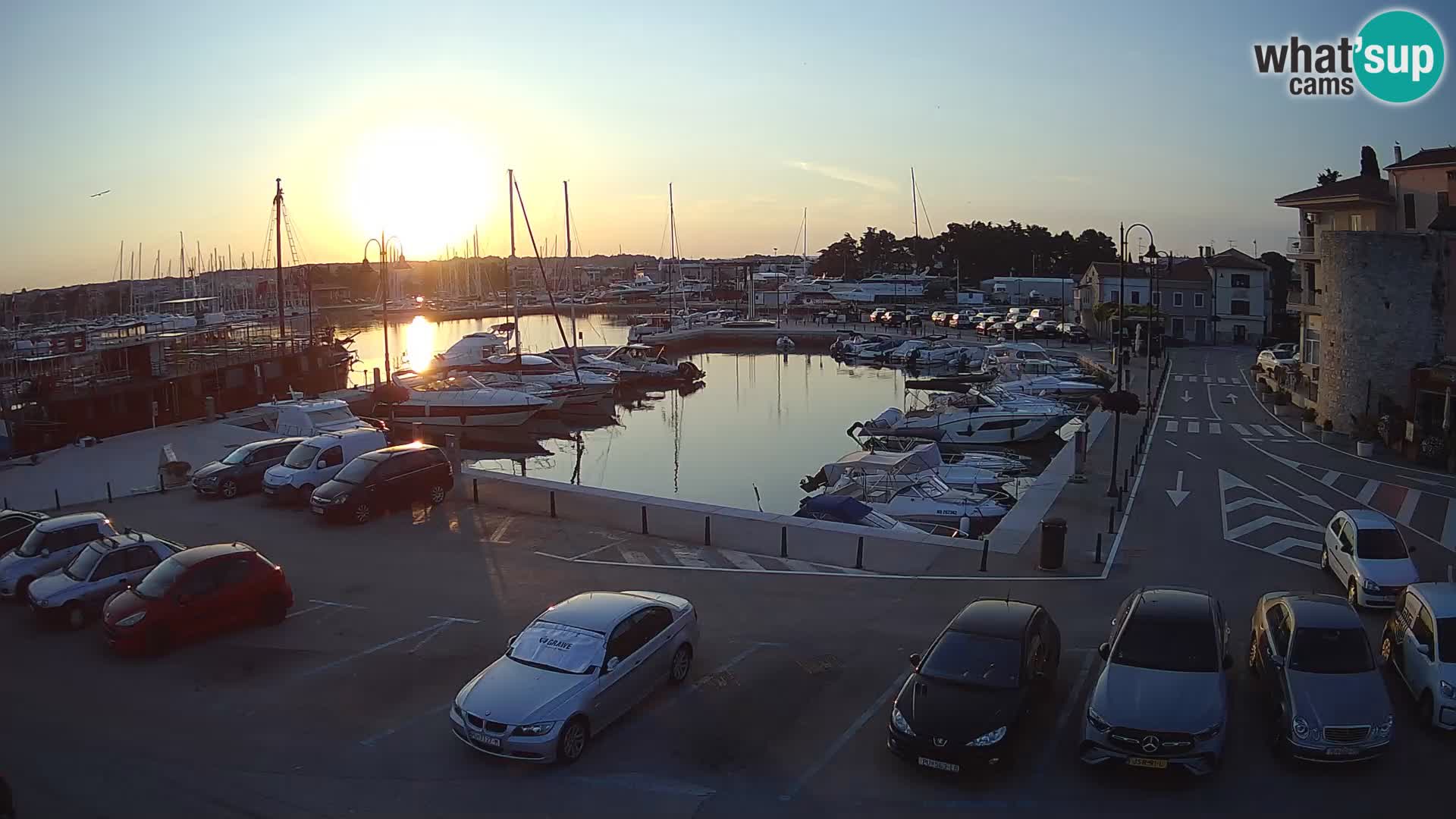Novigrad | Porporela marina