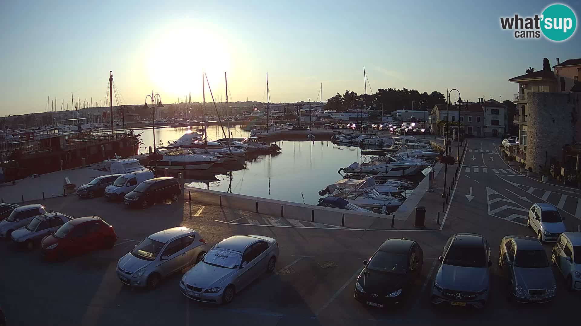 Novigrad | Porporela marina