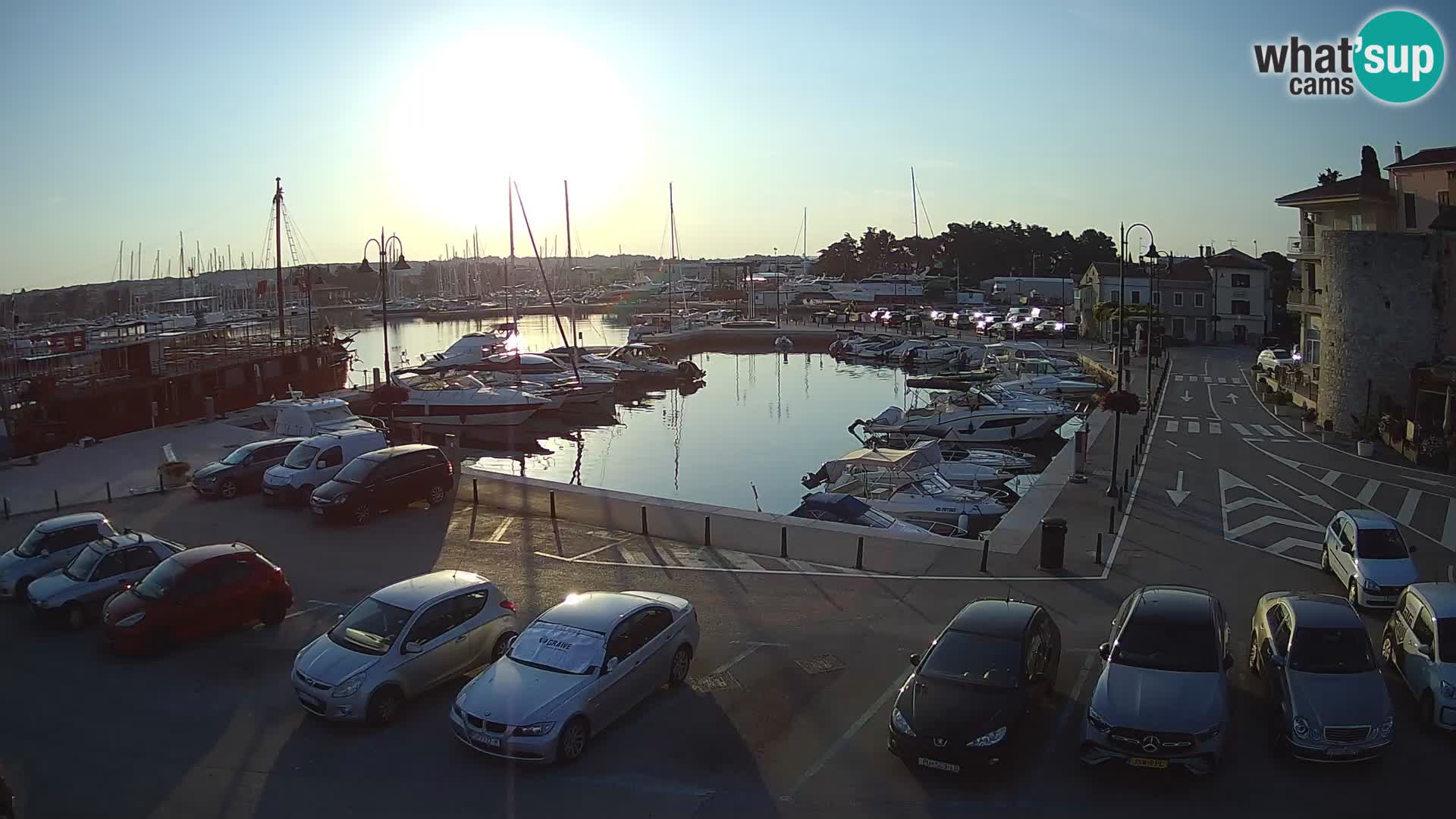 Novigrad | Porporela marina
