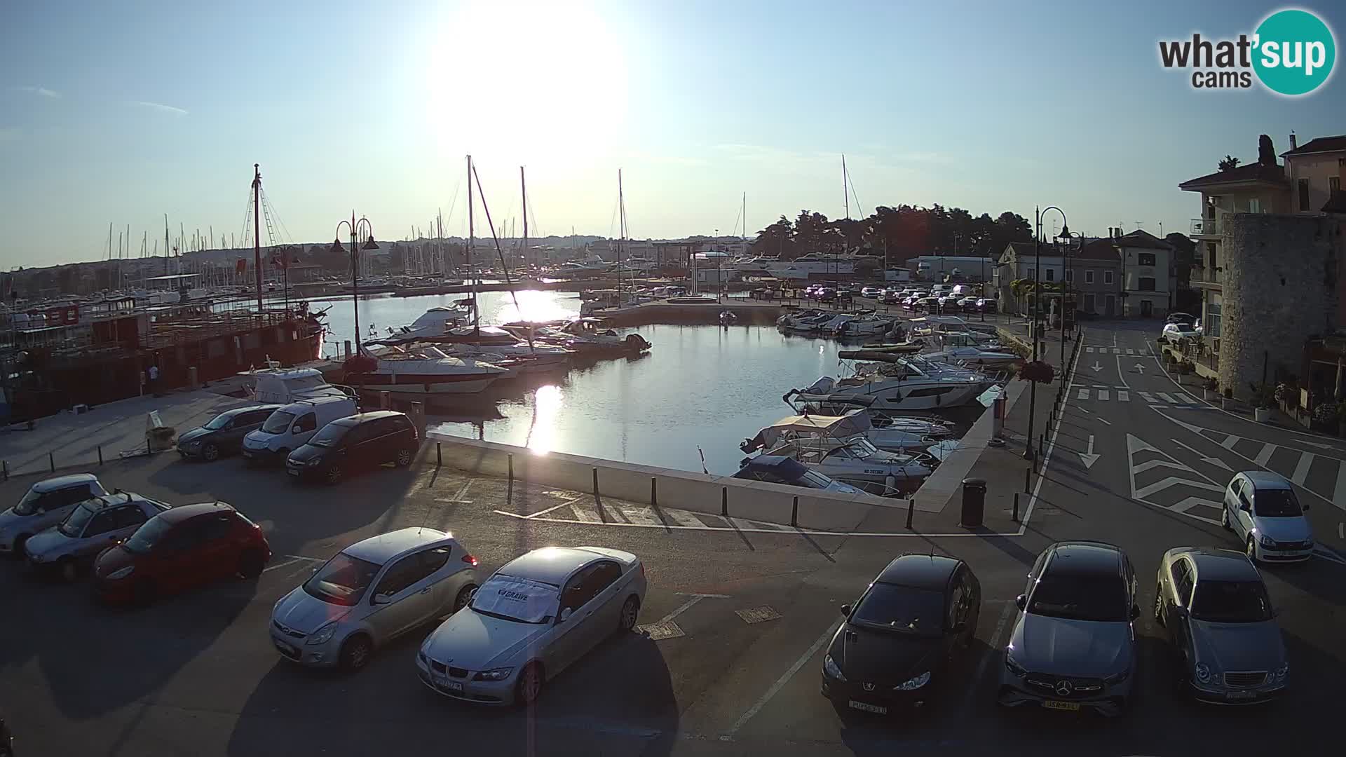 Novigrad | Porporela marina