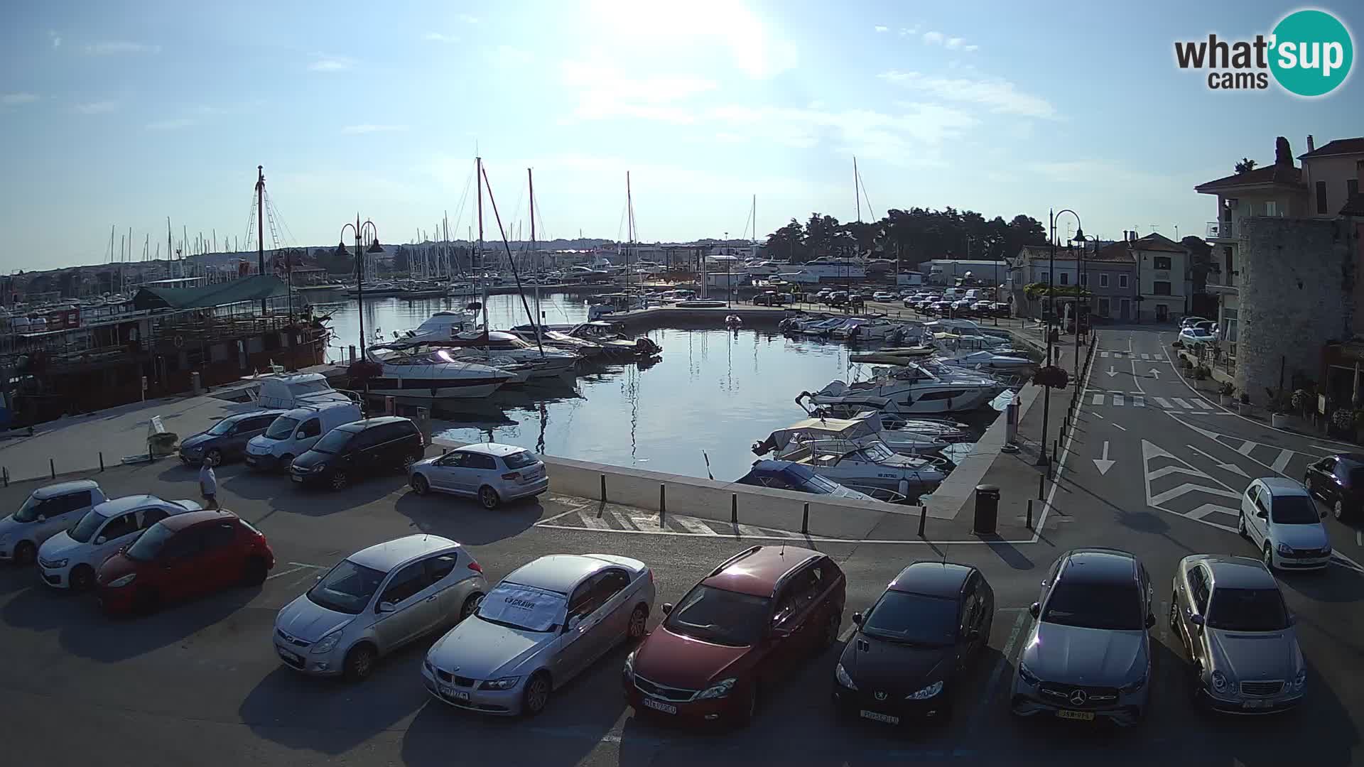 Novigrad | Porporela marina