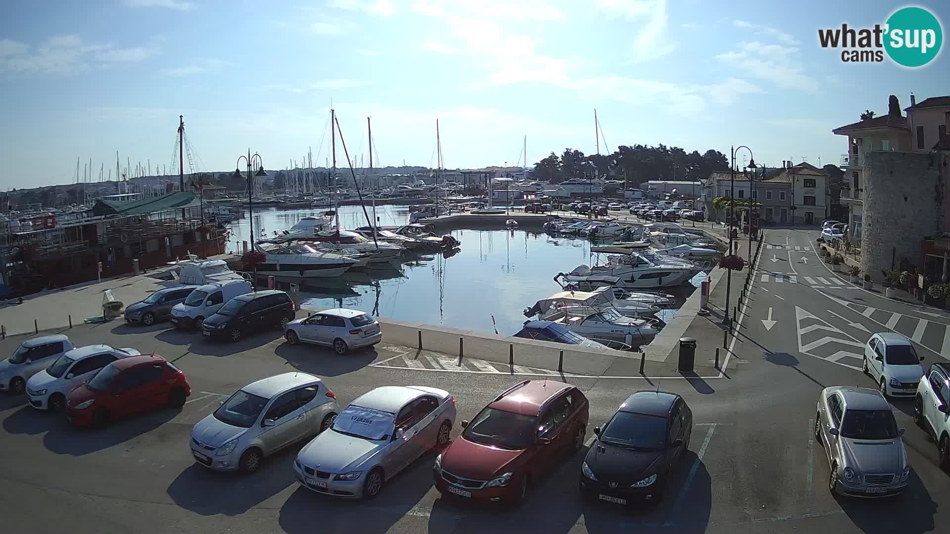 Novigrad | Porporela marina