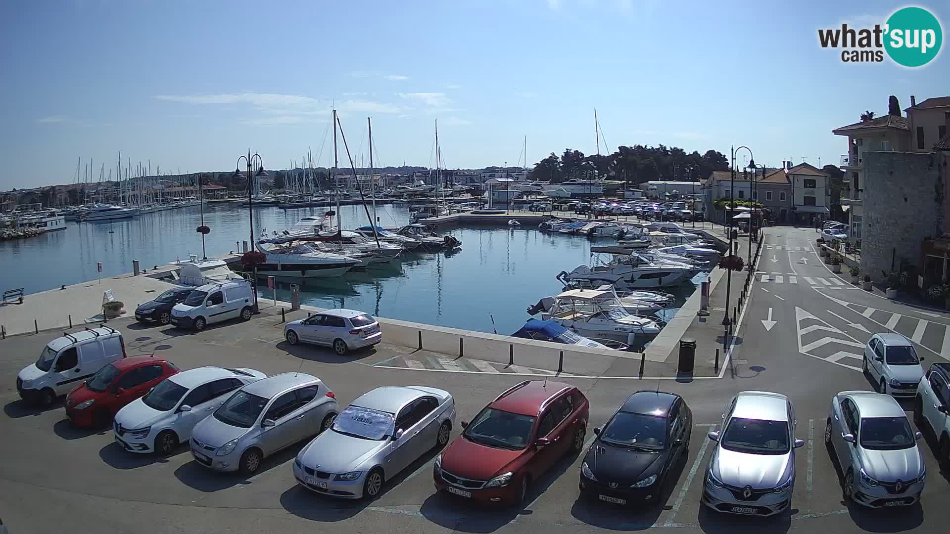 Novigrad | Porporela marina