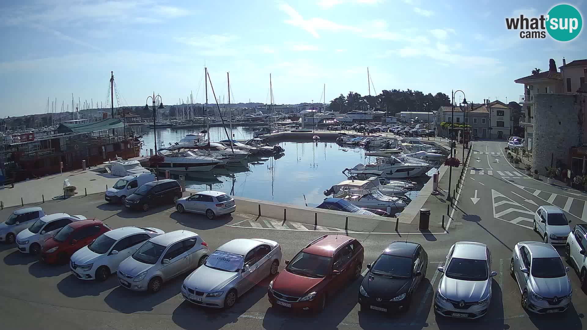 Novigrad | Porporela marina