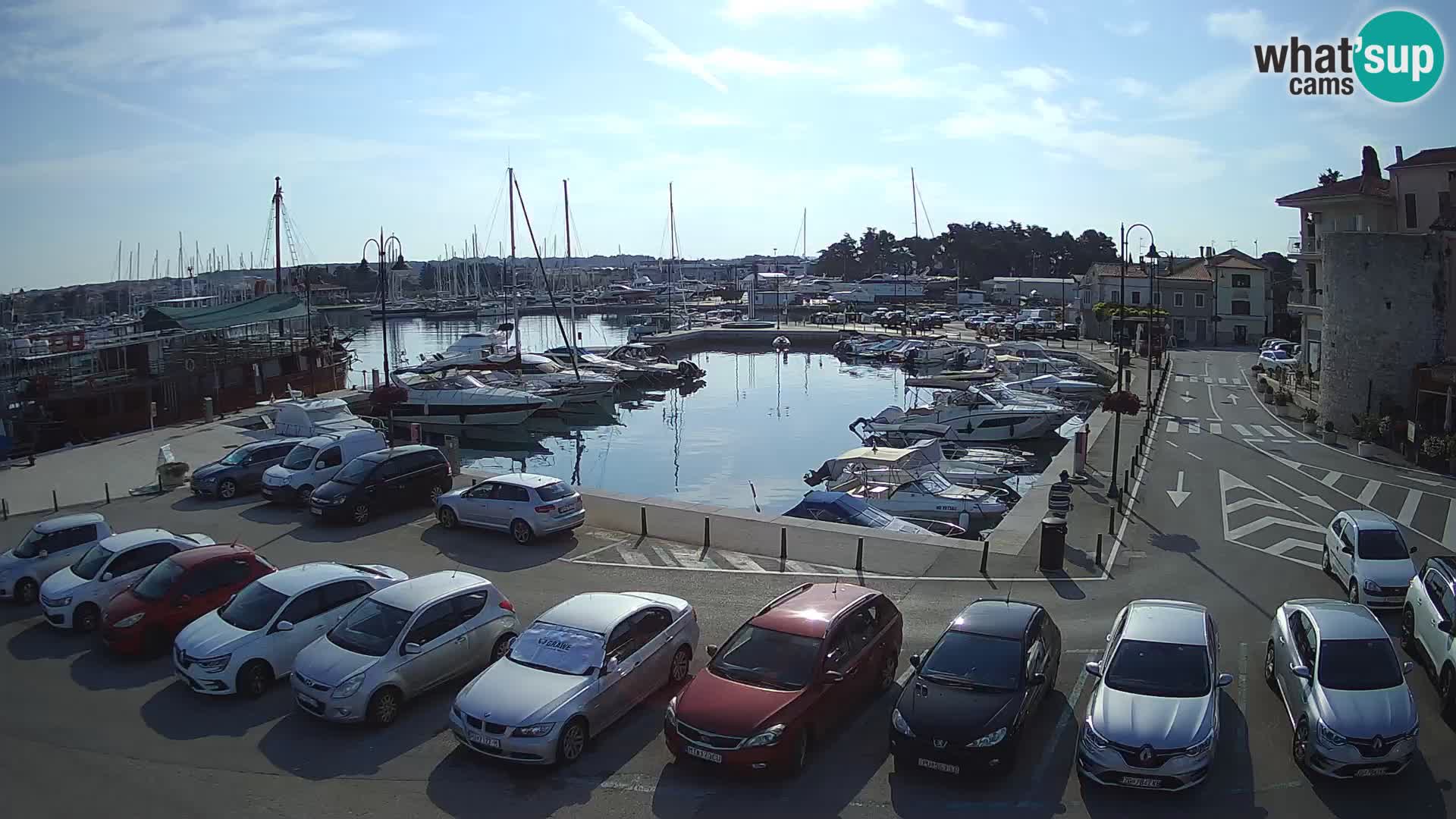 Novigrad | Porporela marina