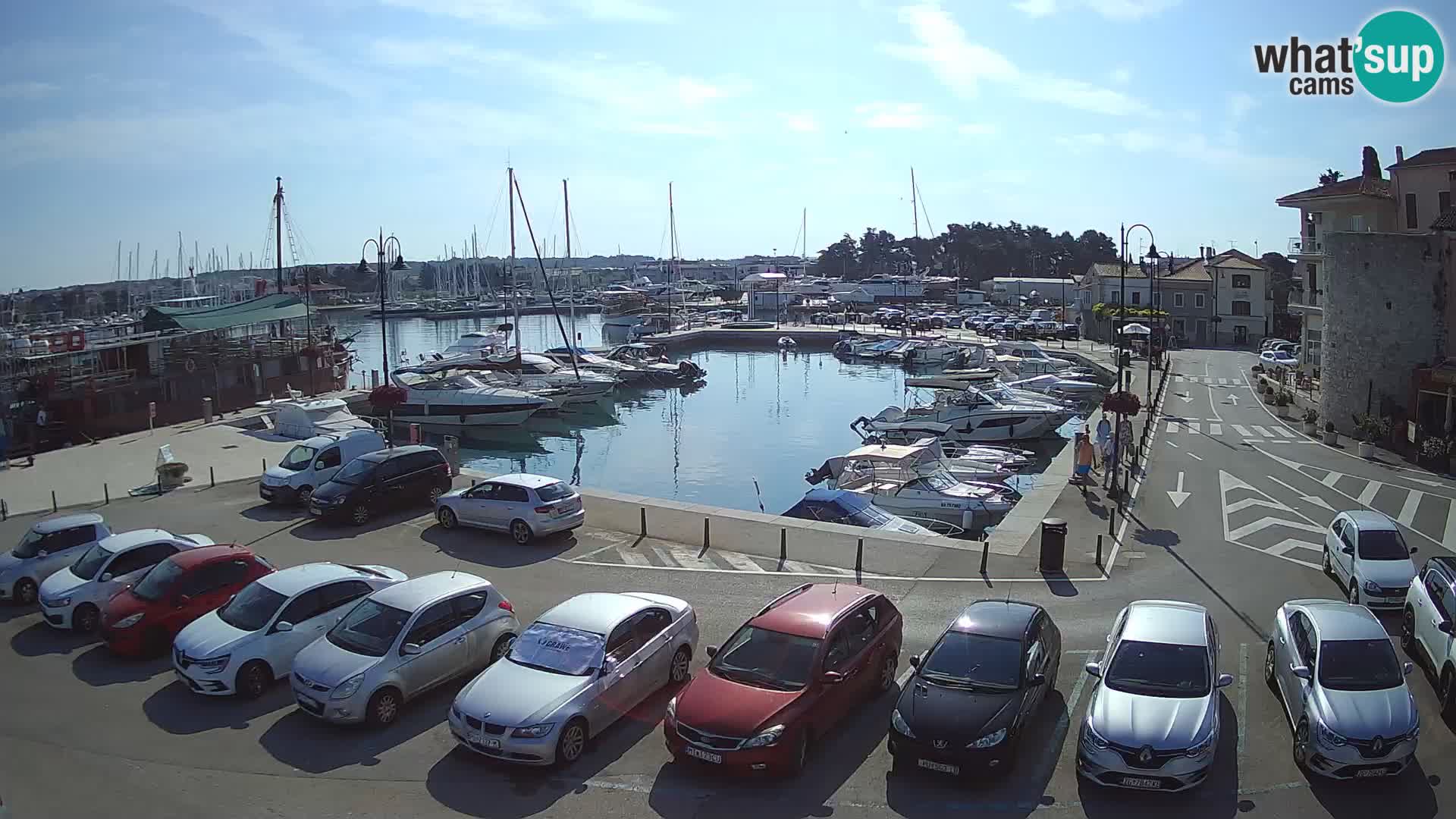 Novigrad | Porporela marina