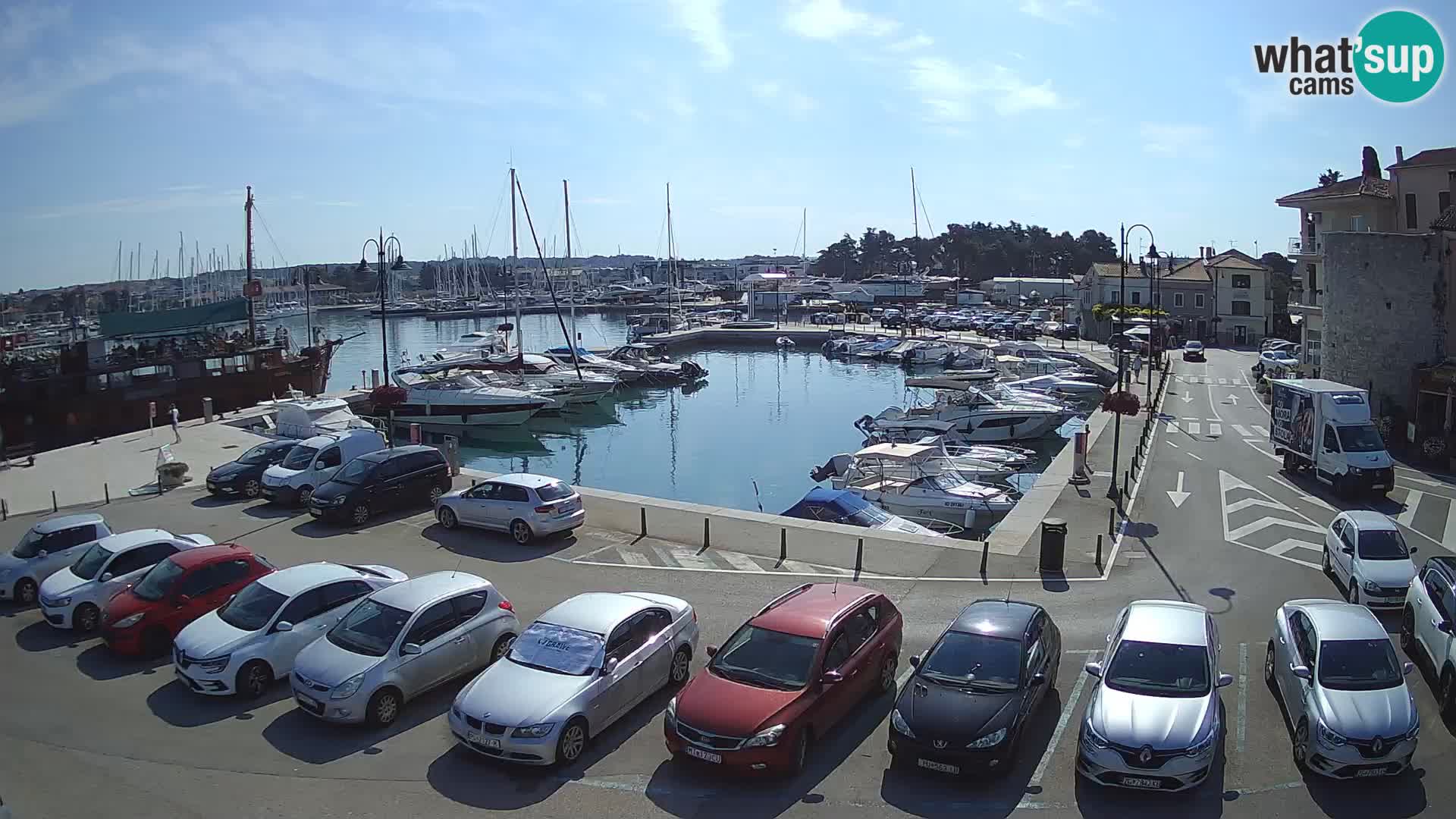 Novigrad | Porporela marina