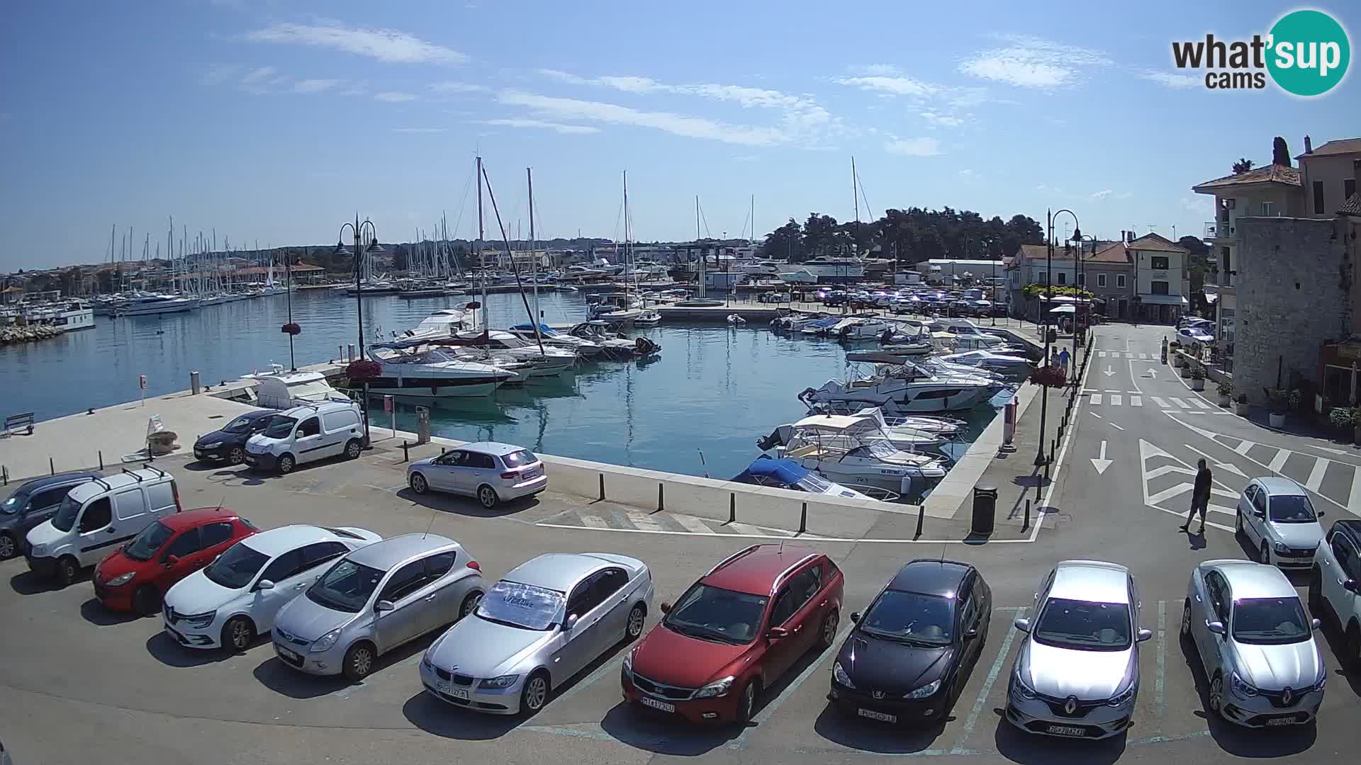 Novigrad | Porporela marina