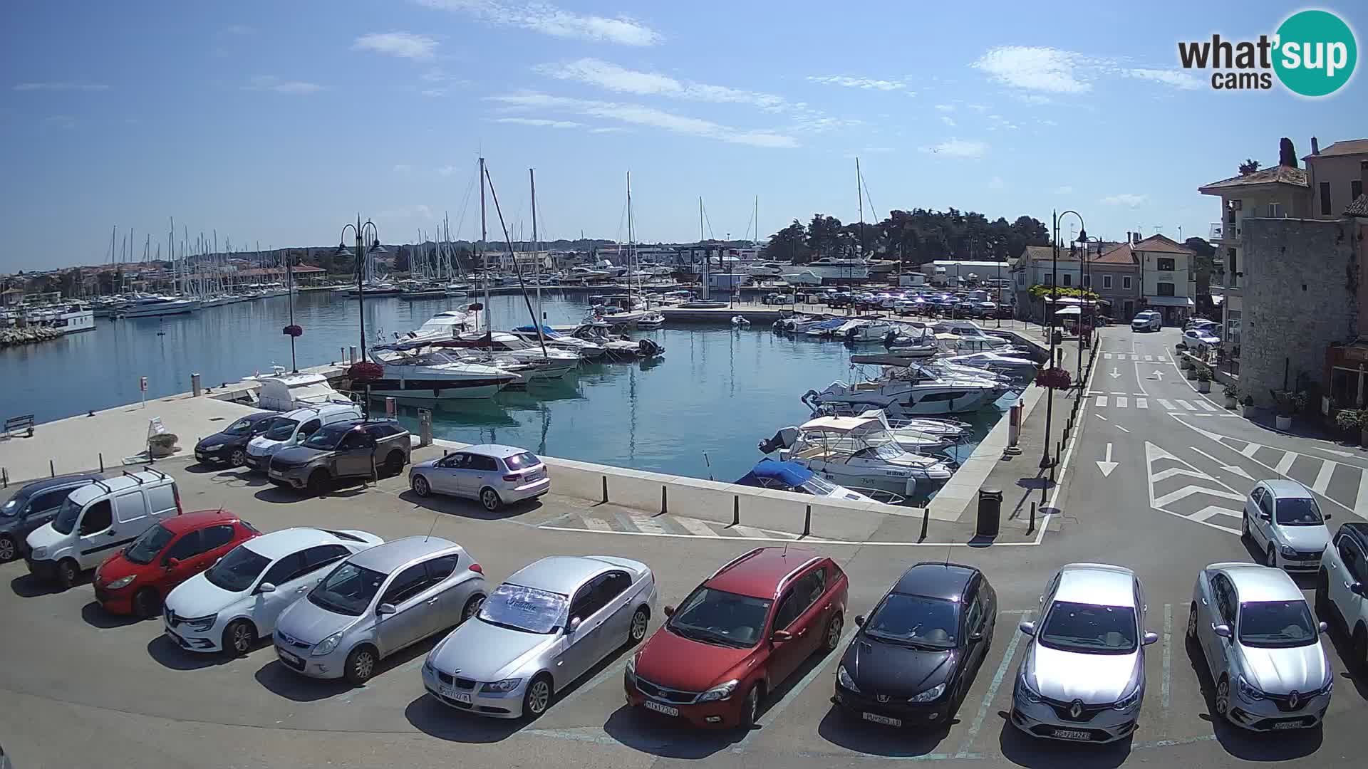 Novigrad | Porporela marina