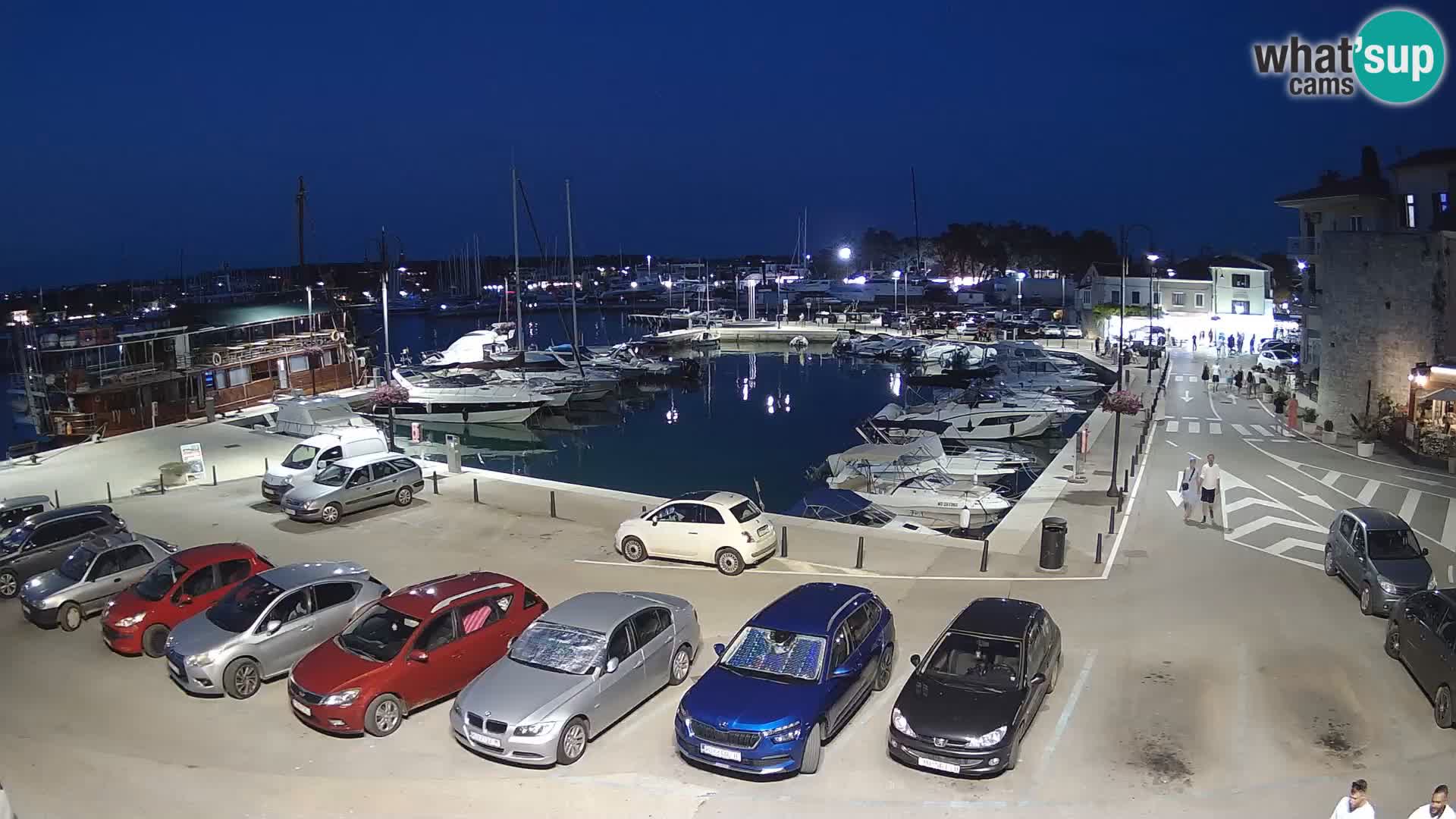Novigrad | Porporela marina