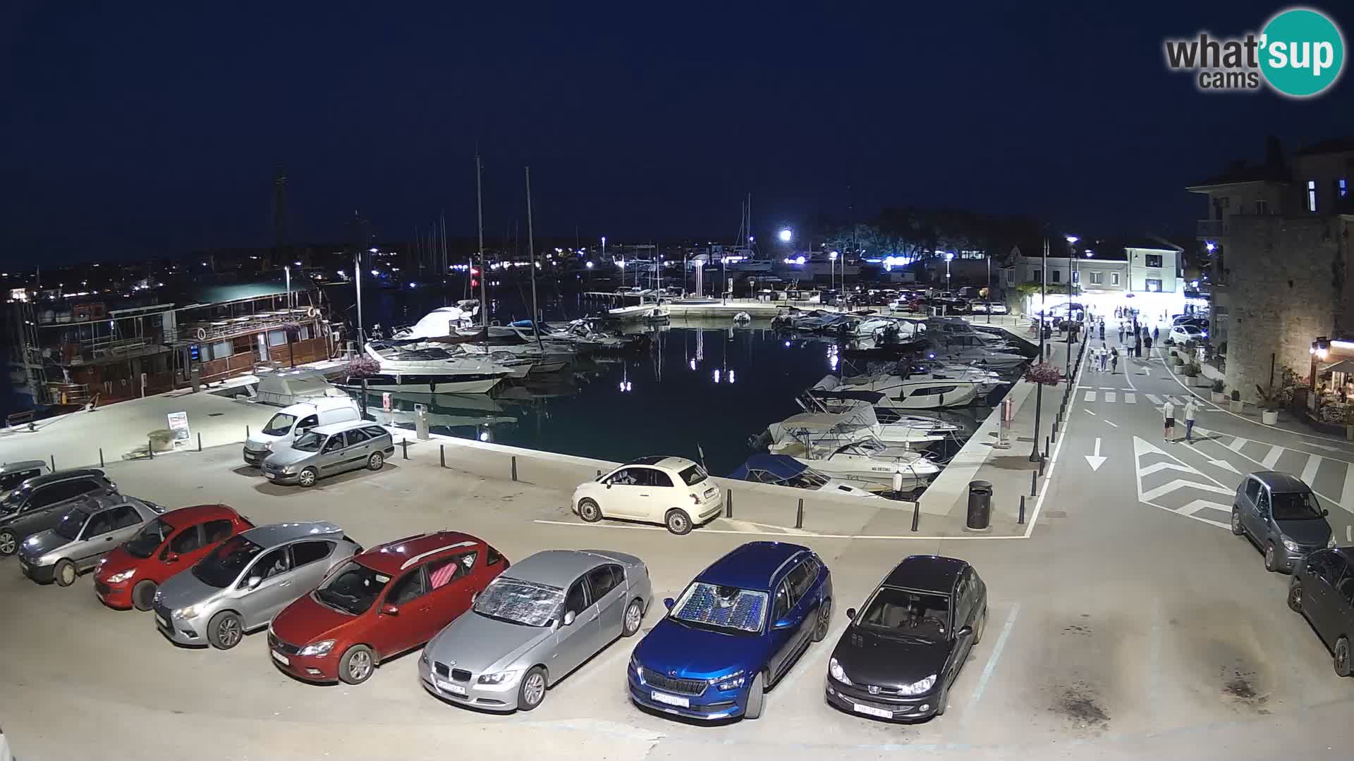 Novigrad | Porporela marina