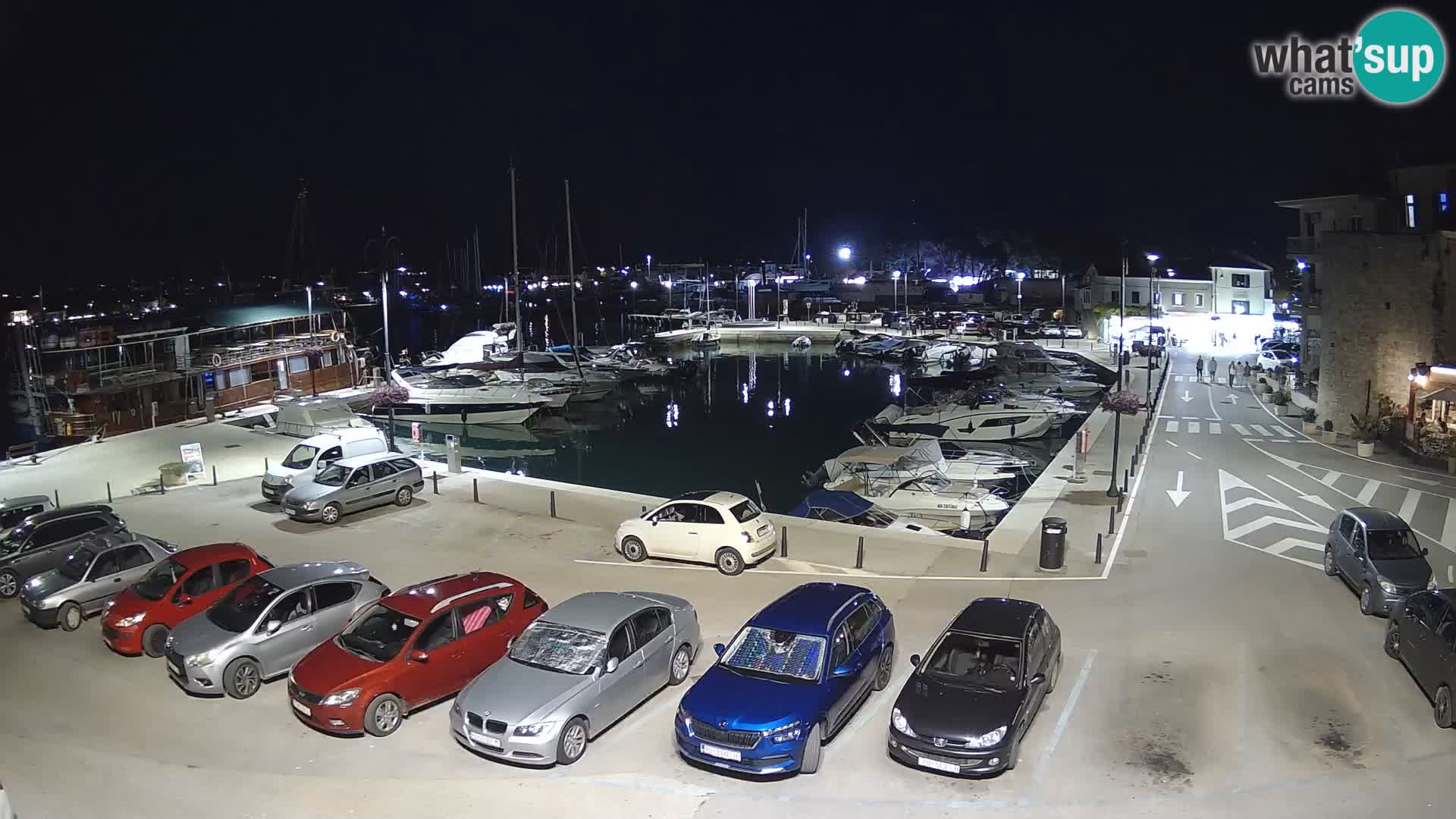 Novigrad | Porporela marina