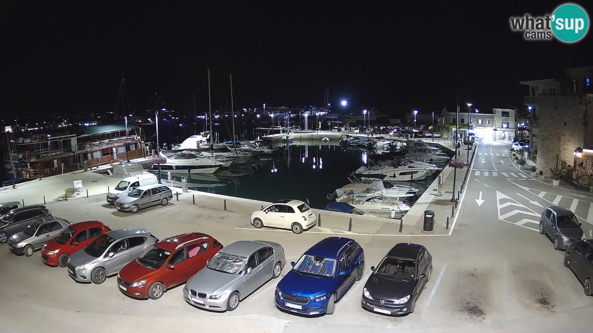 Novigrad | Porporela marina