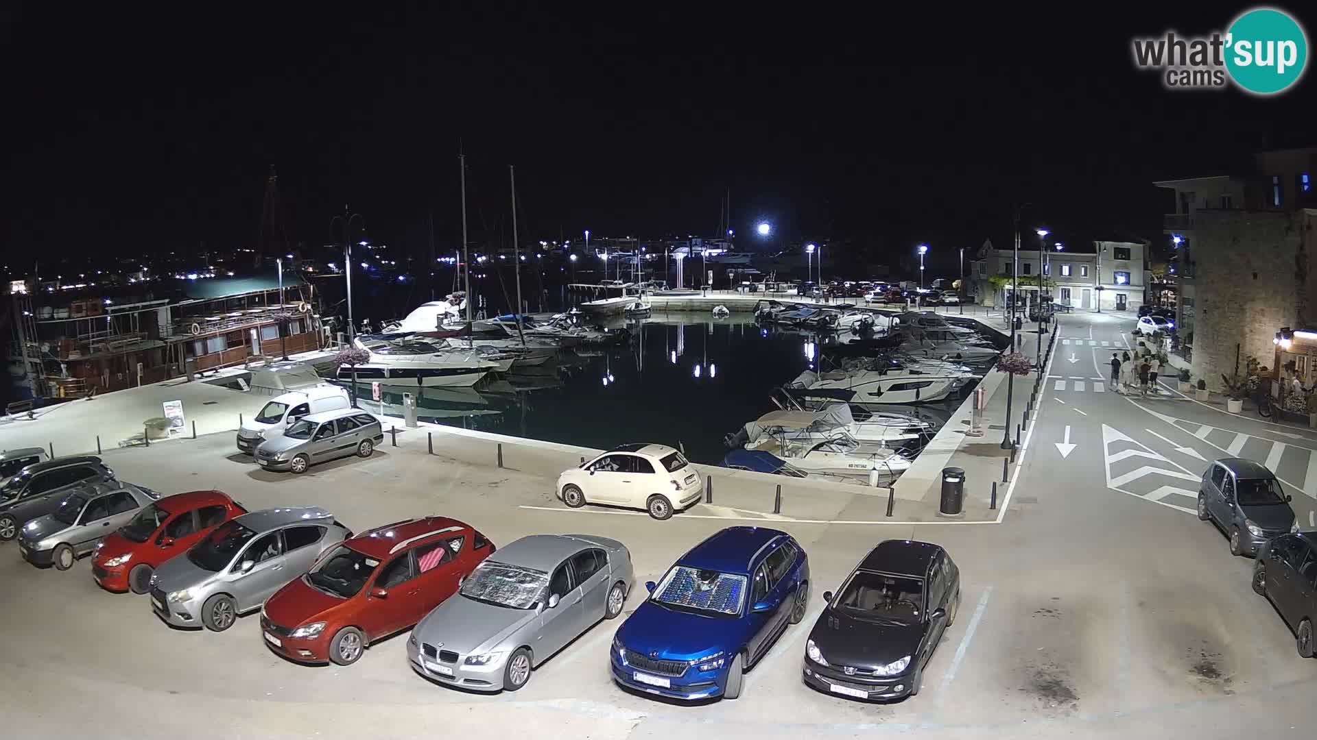 Novigrad | Porporela marina