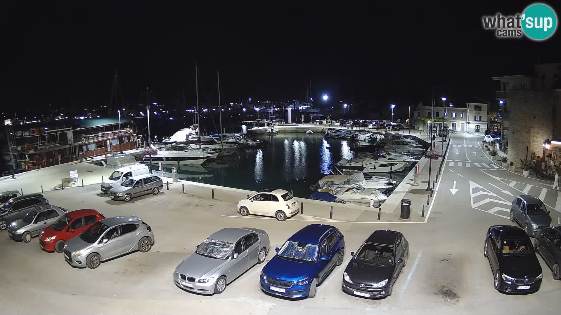 Novigrad | Porporela marina