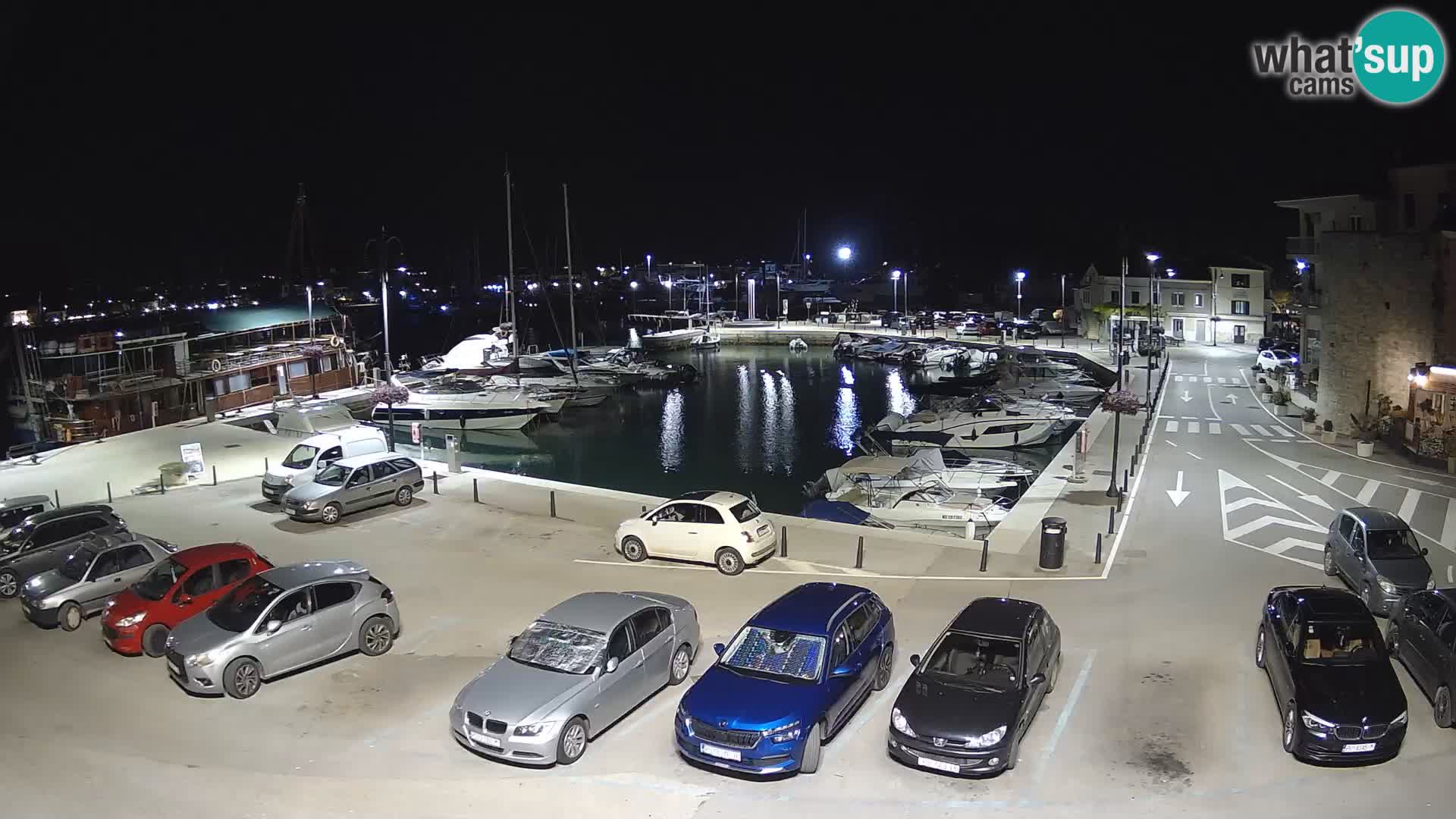 Novigrad | Porporela marina