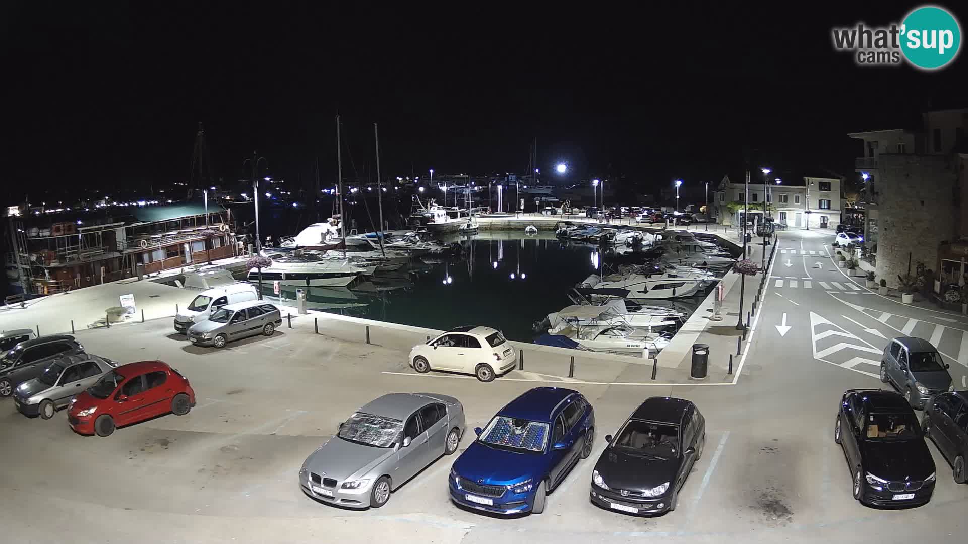 Novigrad | Porporela marina